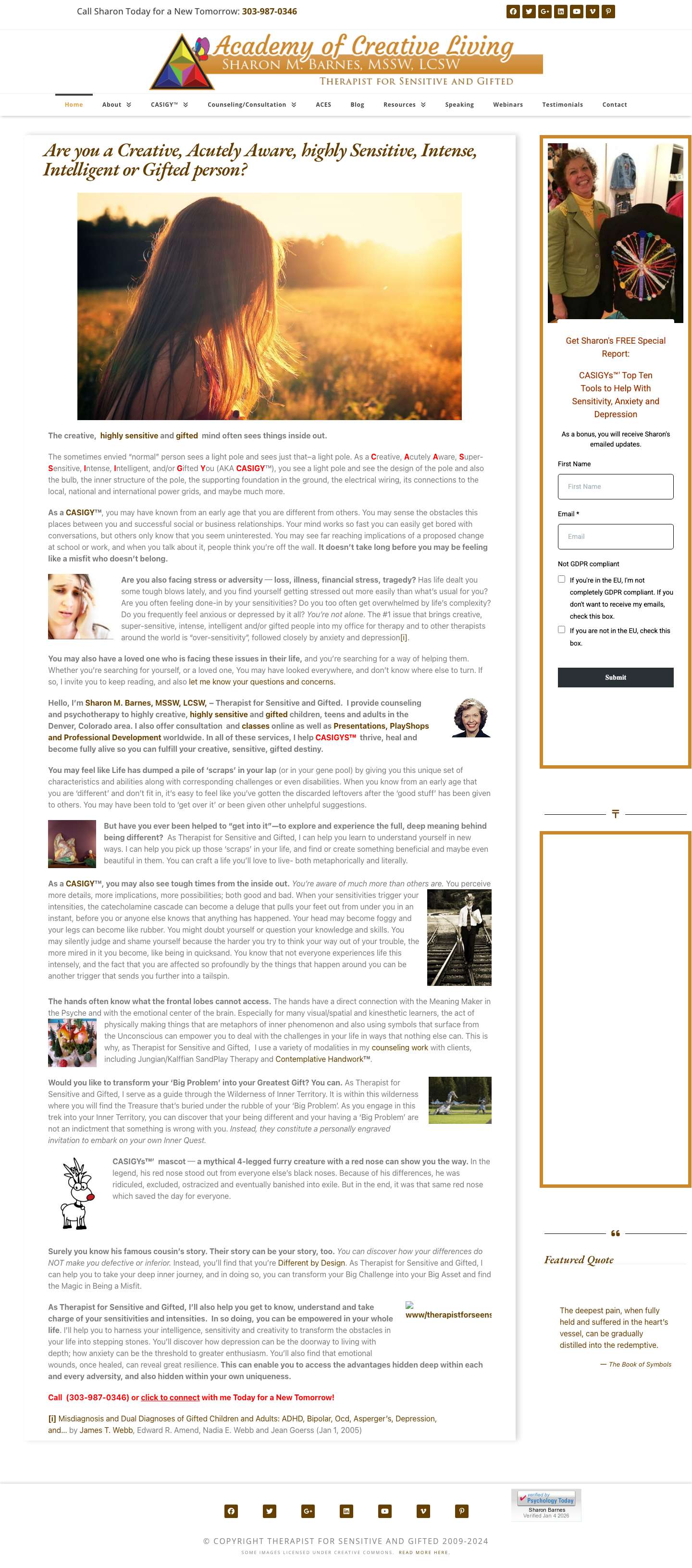 Therapist for Sensitive and Gifted Sharon M. Barnes, MSSW, LCSW - Full Screenshot