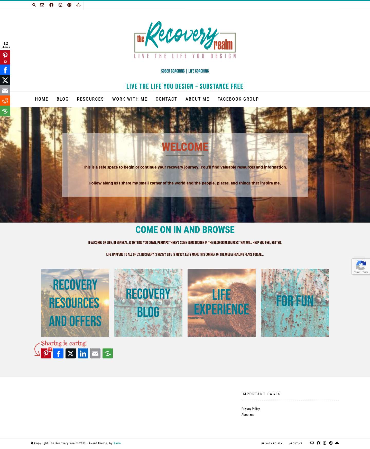 The Recovery Realm - sober coaching | life coaching - Full Screenshot