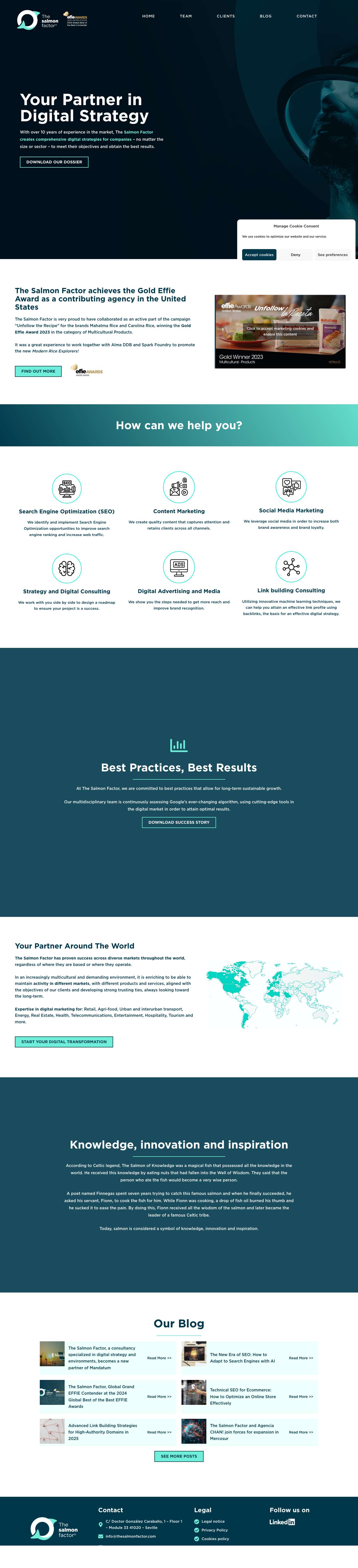 The Salmon Factor | SEO, SEM, Social Media & Digital Marketing - - Full Screenshot