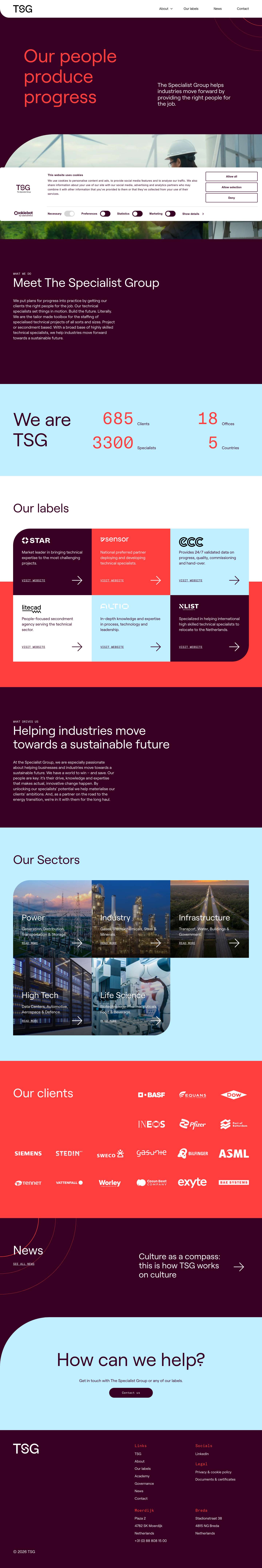 The Specialist Group, TSG - Our people produce progress - Full Screenshot