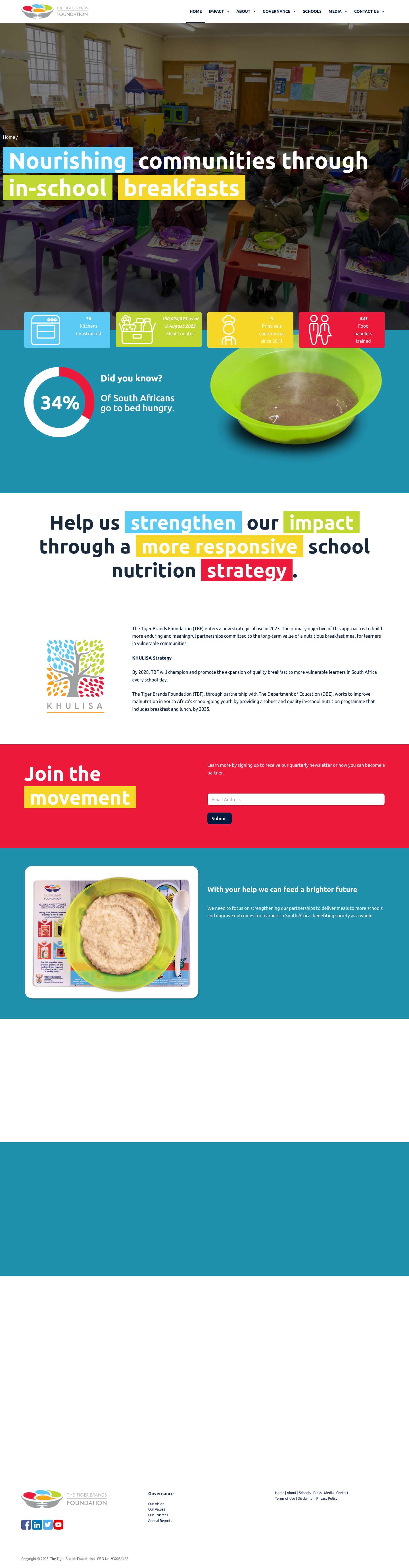 Home - Tiger Brands Foundation | TBFSmoke effect - Full Screenshot