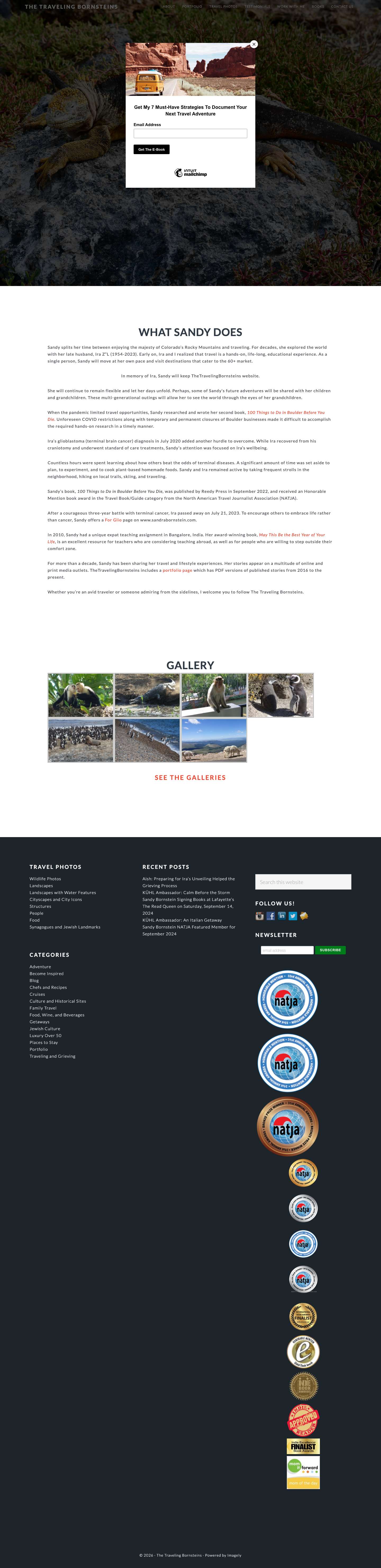 The Traveling Bornsteins | Travel Photography and Writing - Full Screenshot