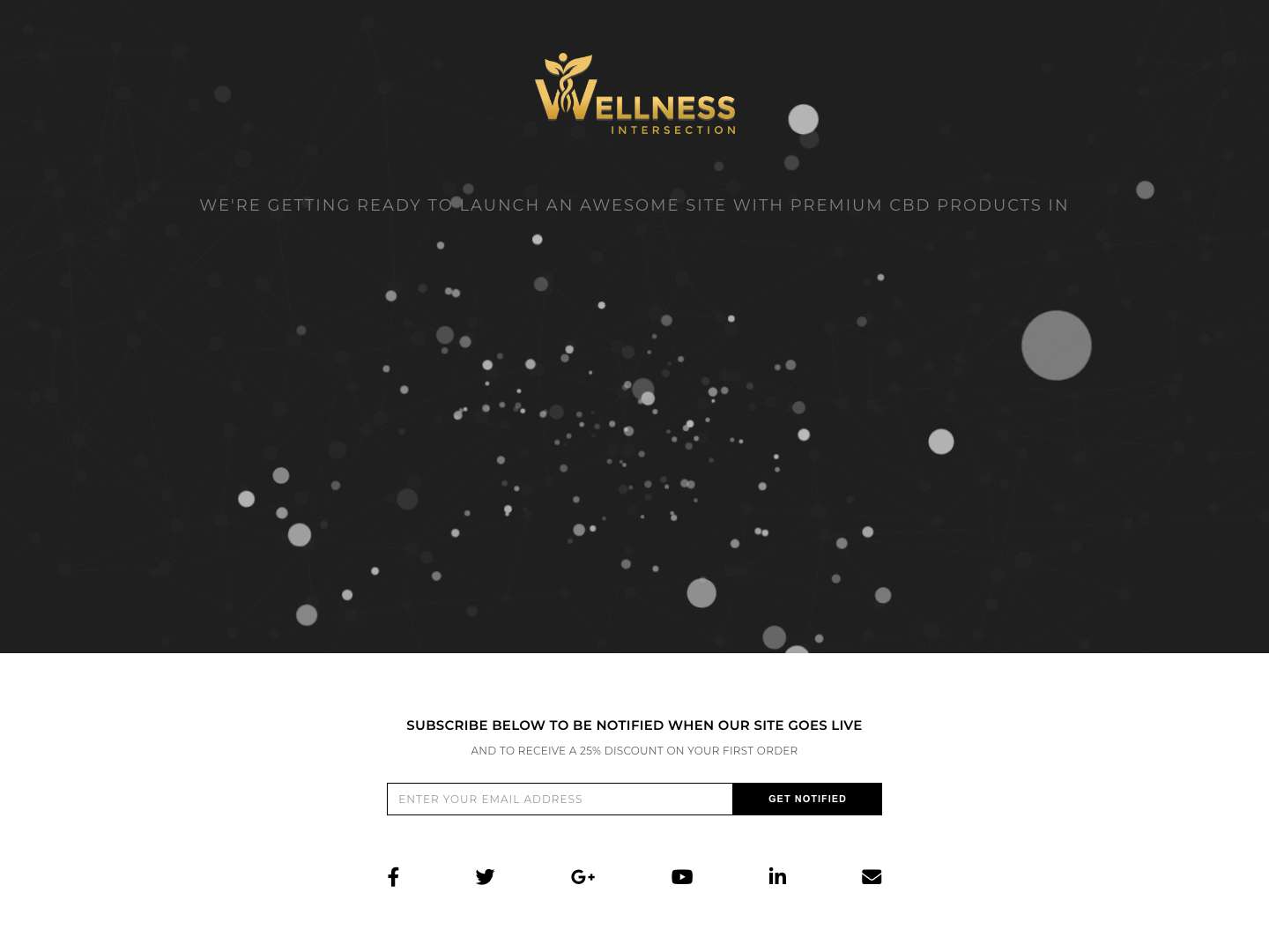 _Coming Soon – The Wellness Intersection - Full Screenshot