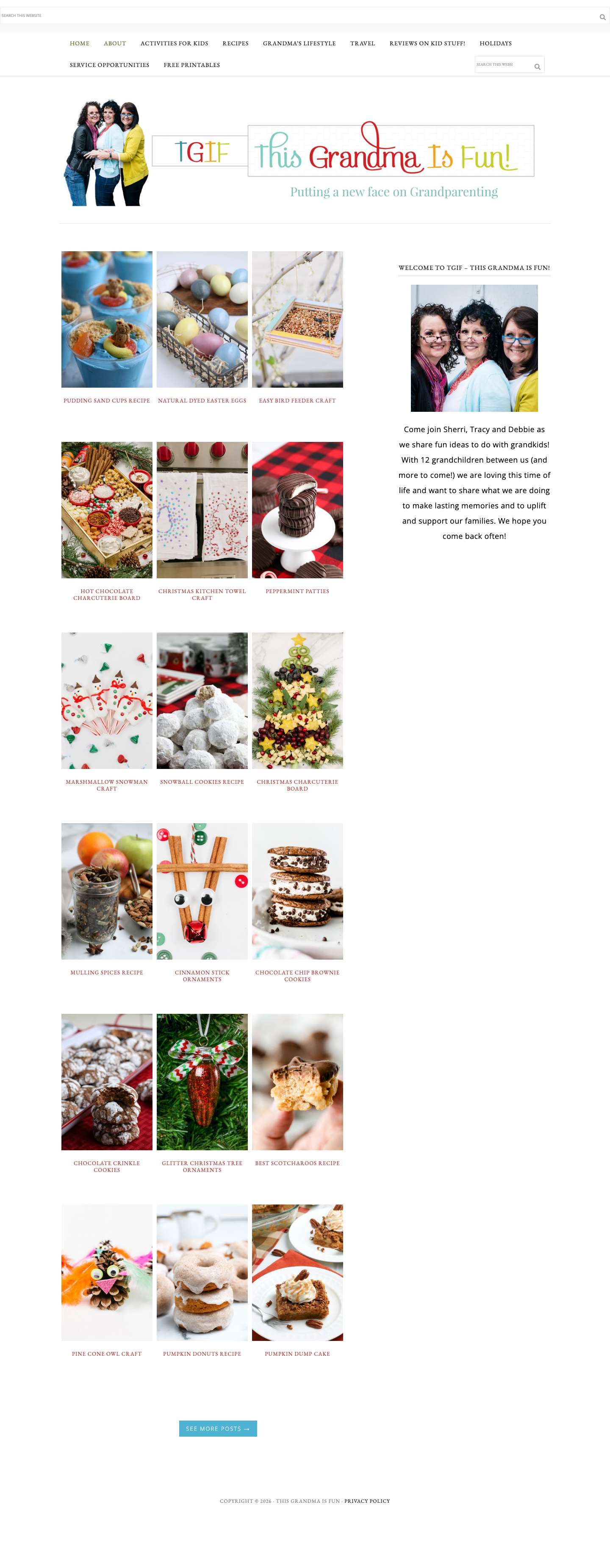 TGIF - This Grandma is Fun - Putting a new face on Grandparenting - Full Screenshot