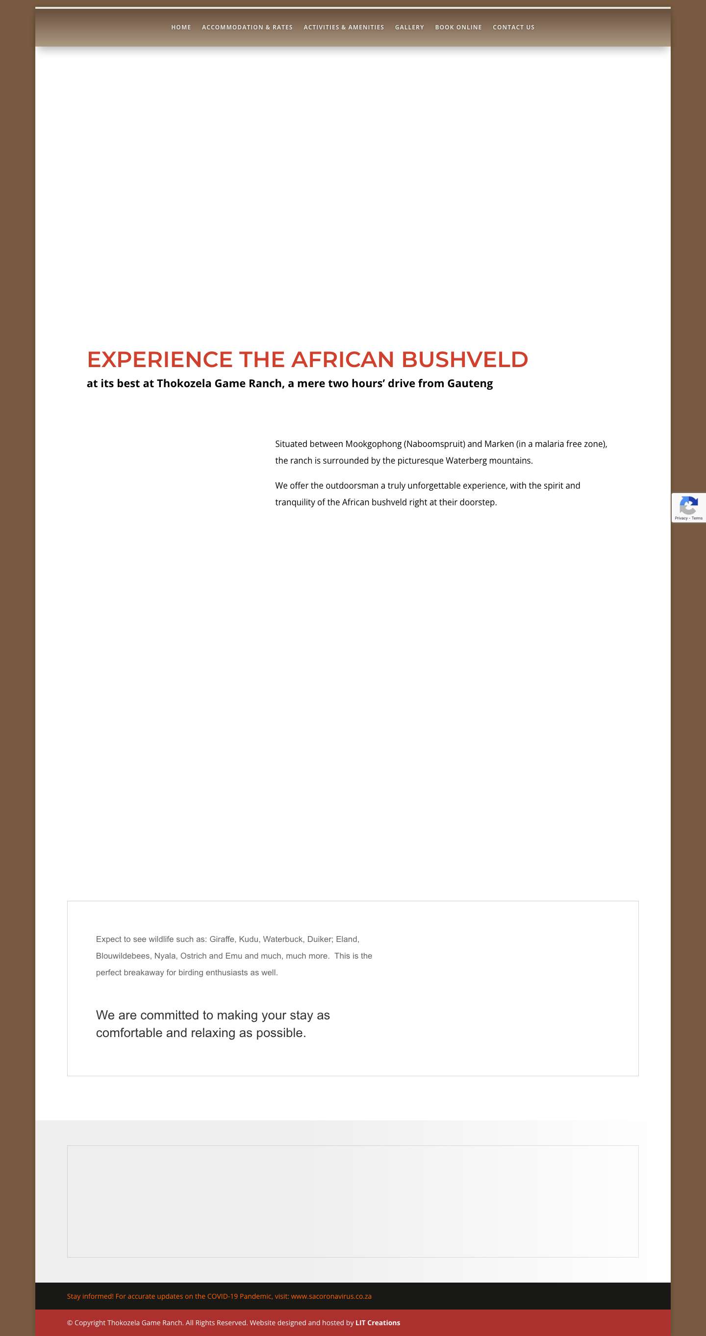 Thokozela | Game Ranch Only Two Hours’ Drive from Gauteng - Full Screenshot