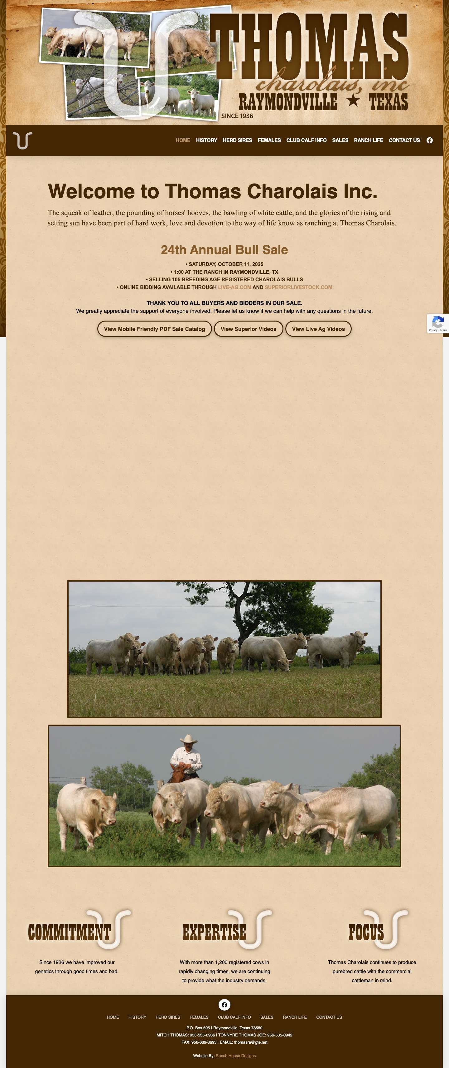 Home - Thomas Charolais - Charolais Cattle - Raymondville, Texas - Full Screenshot