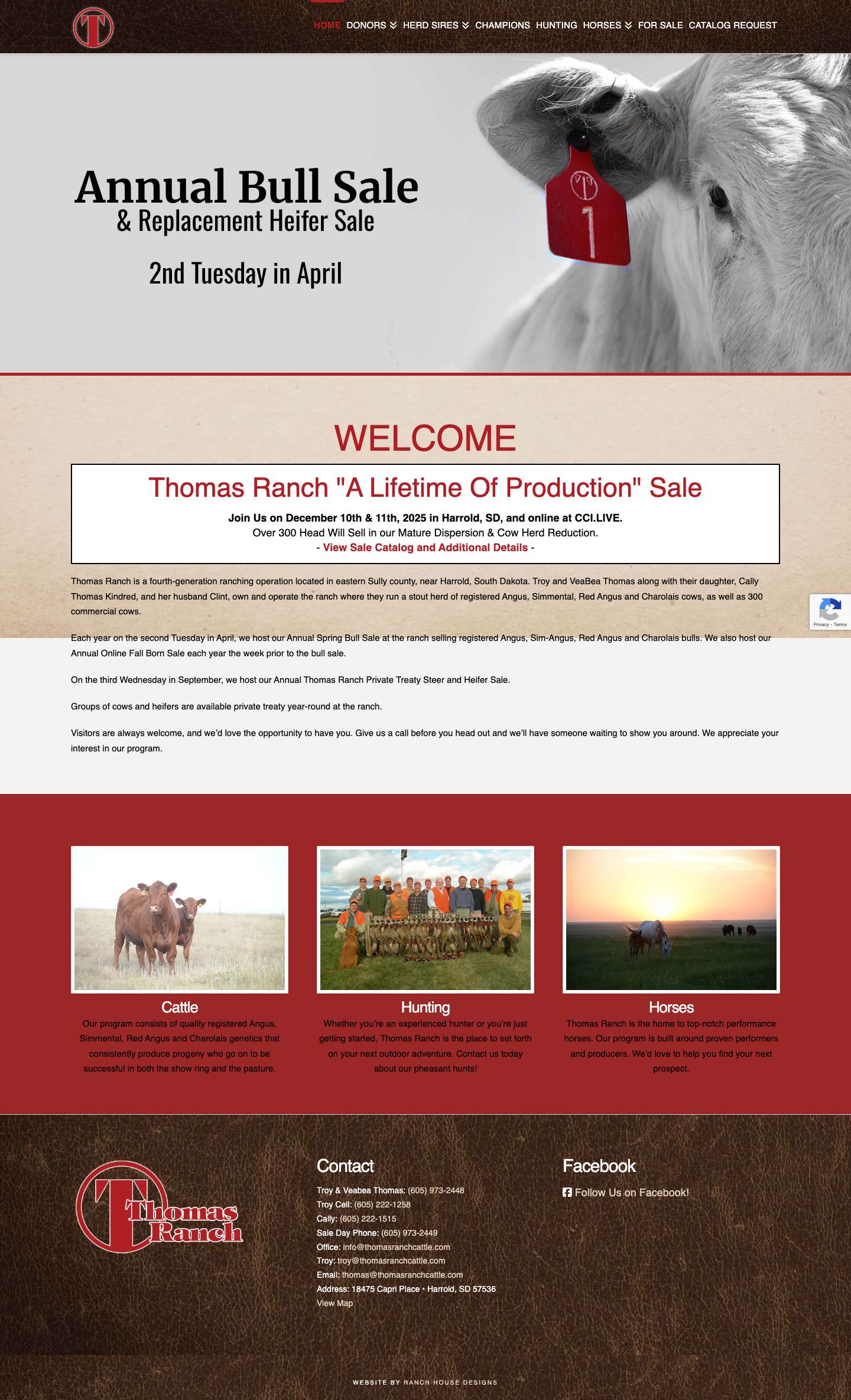 Home - Thomas Ranch - Angus, Simmental, Red Angus & Charolais in SD - Full Screenshot
