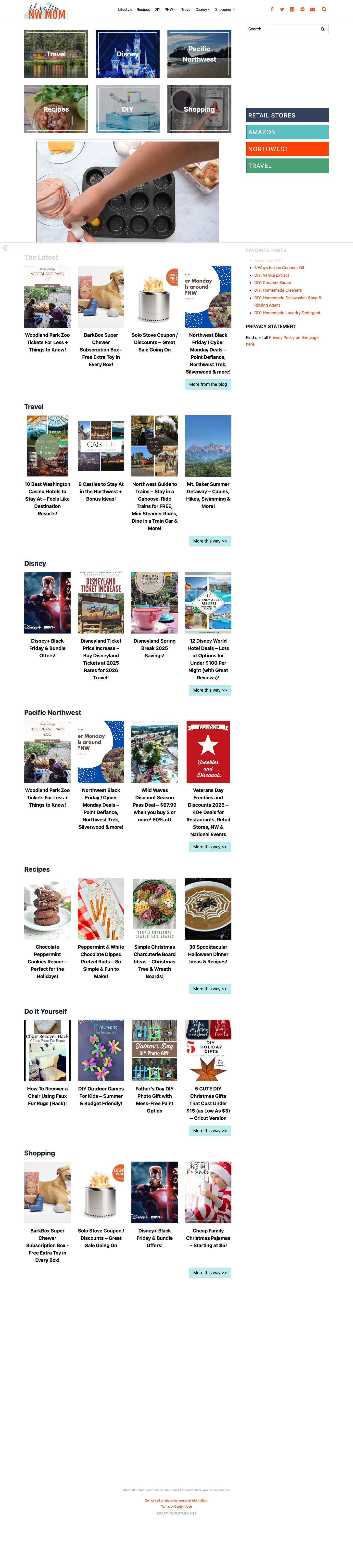 Thrifty NW Mom - Full Screenshot