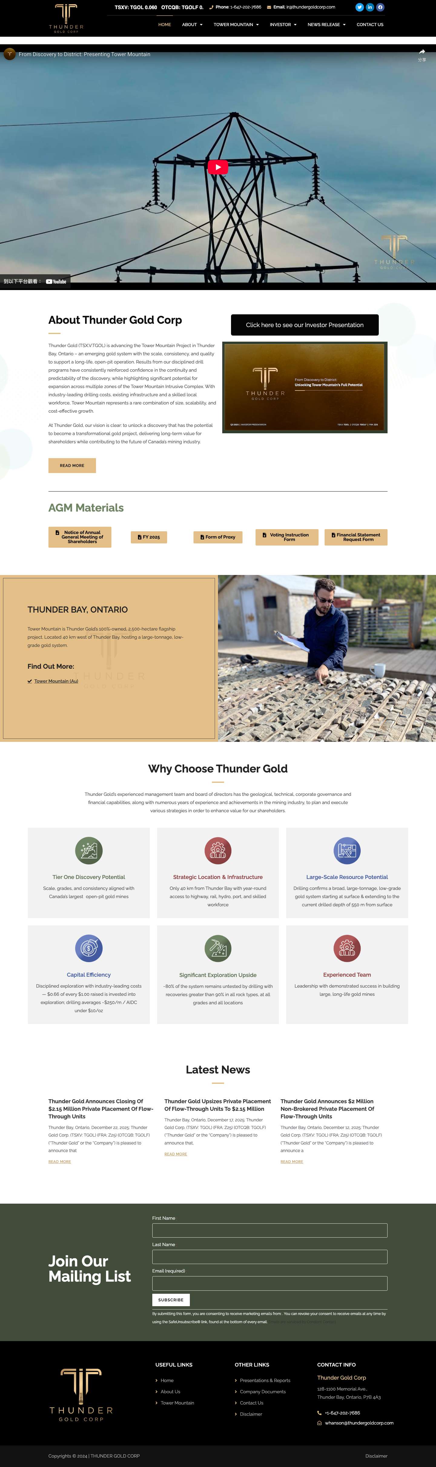 THUNDER GOLD CORP - Full Screenshot