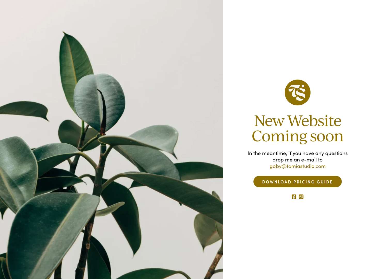 Coming Soon – Tomia Studio - Full Screenshot