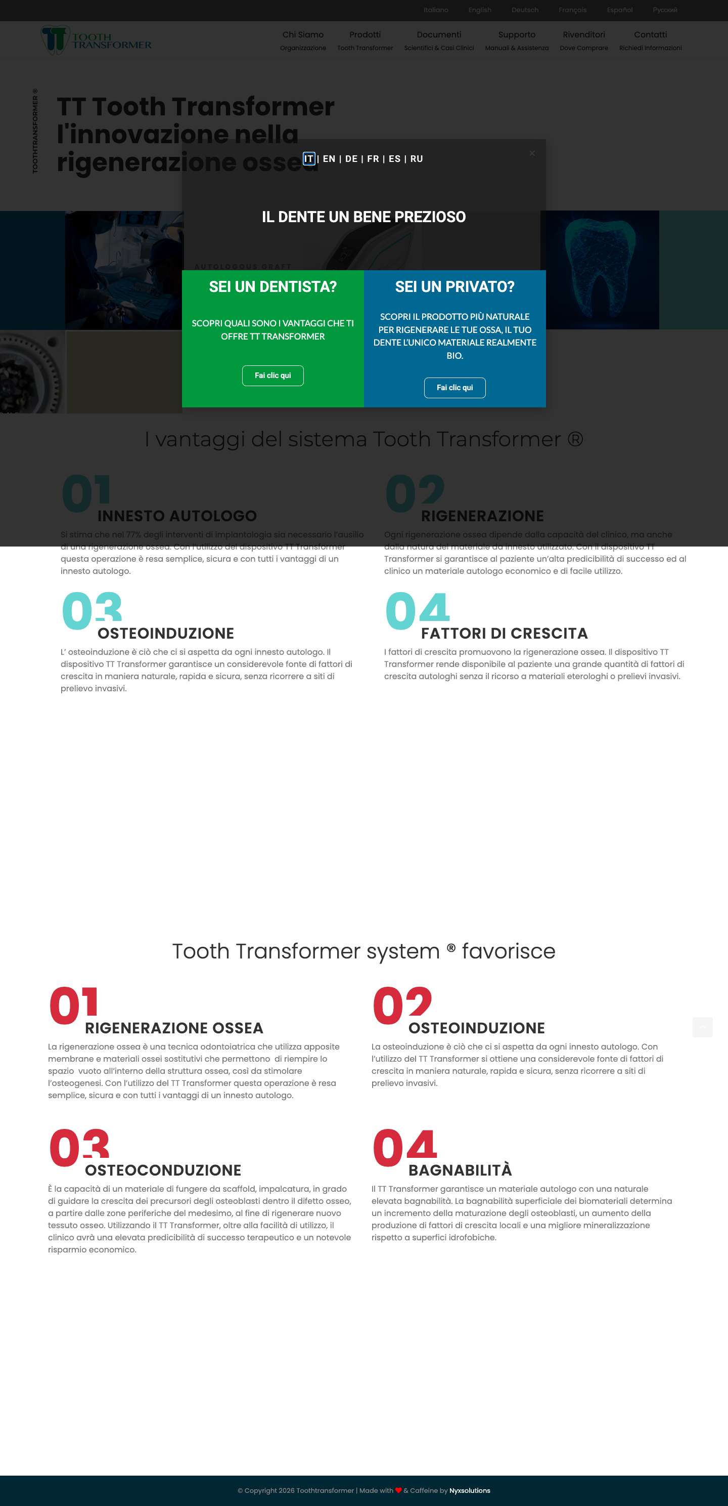 Home - Tooth Transformer system - Full Screenshot