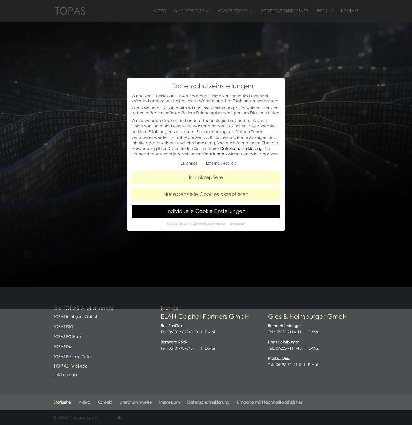 TOPAS | Time-Series Orientated Portfolio Allocation System - Full Screenshot