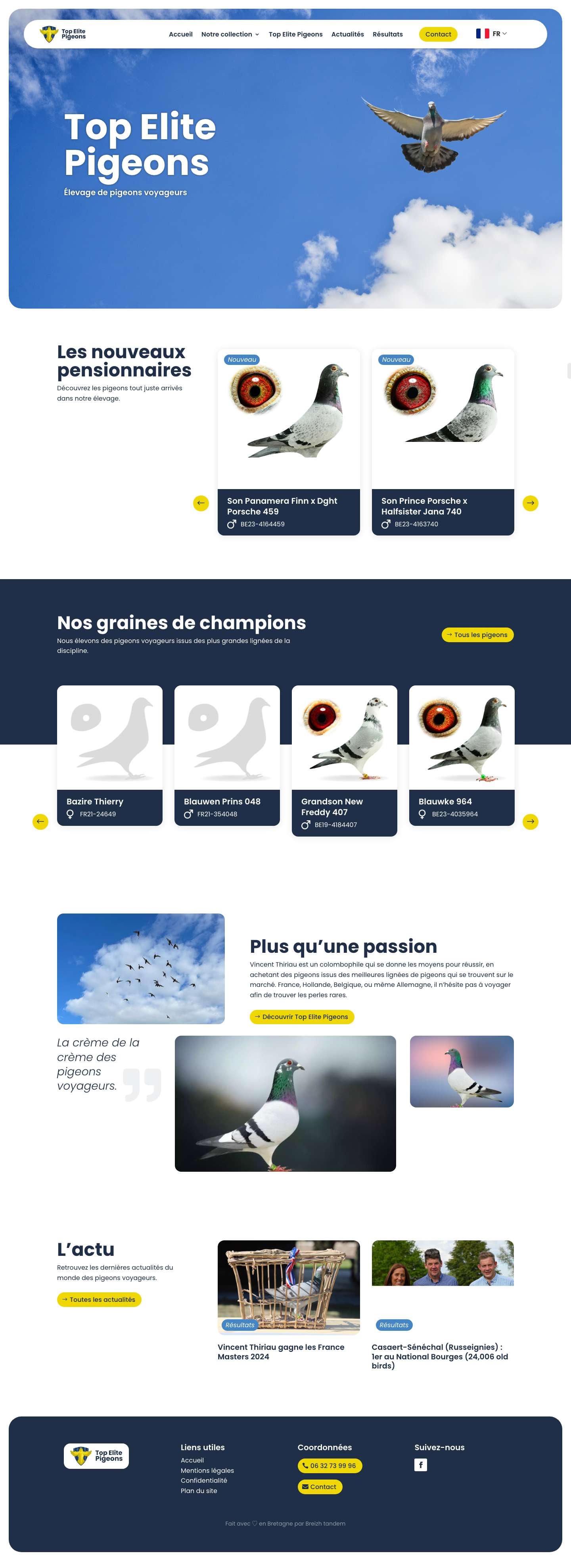 Top Elite Pigeons • Elevage de pigeons voyageurs - Full Screenshot