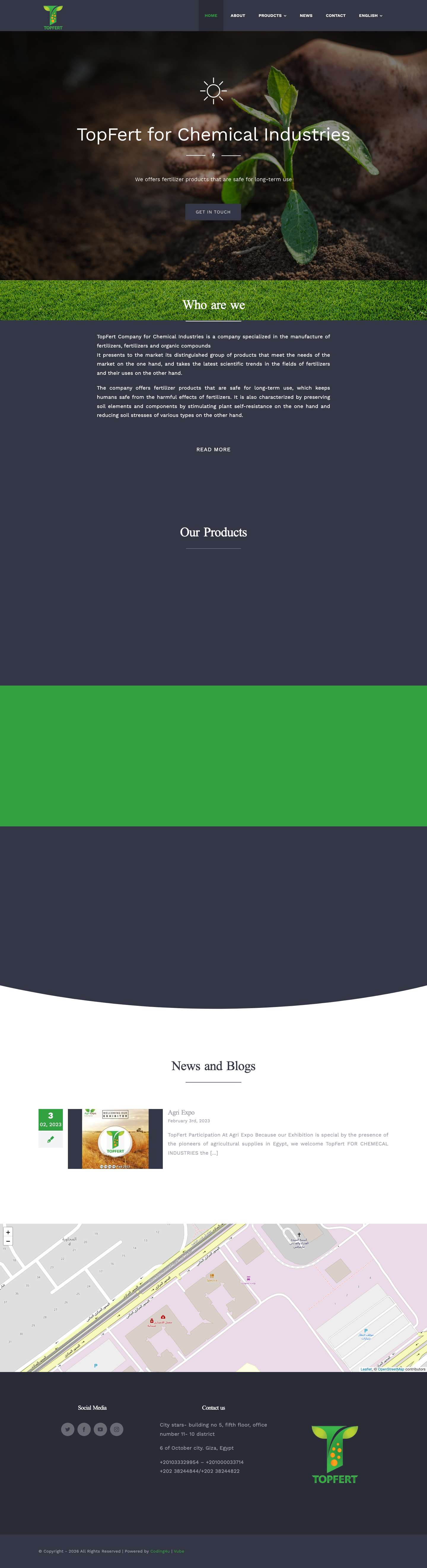 Home - topfertegypt - Full Screenshot