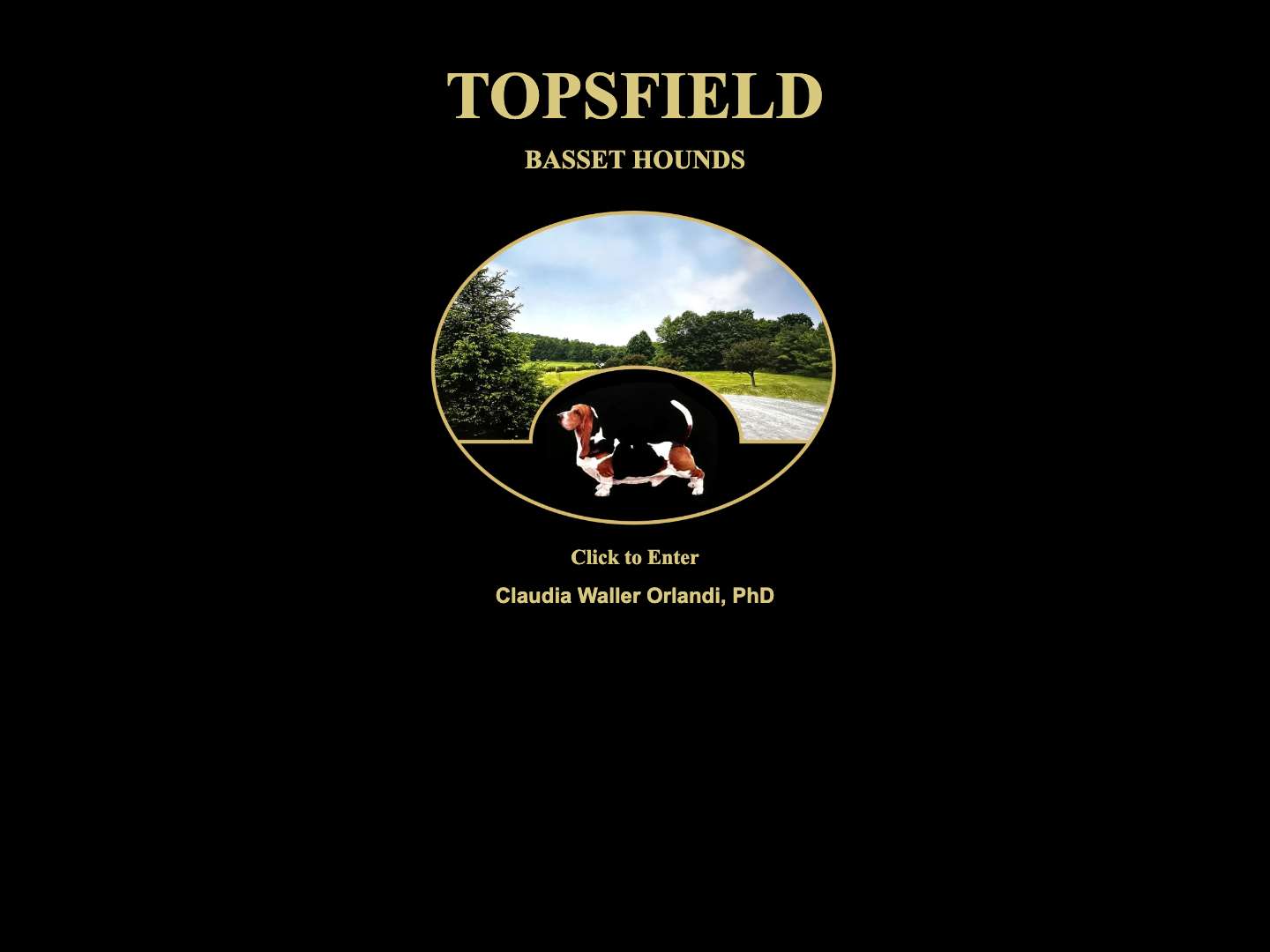 Home - Topsfield Bassets - Full Screenshot