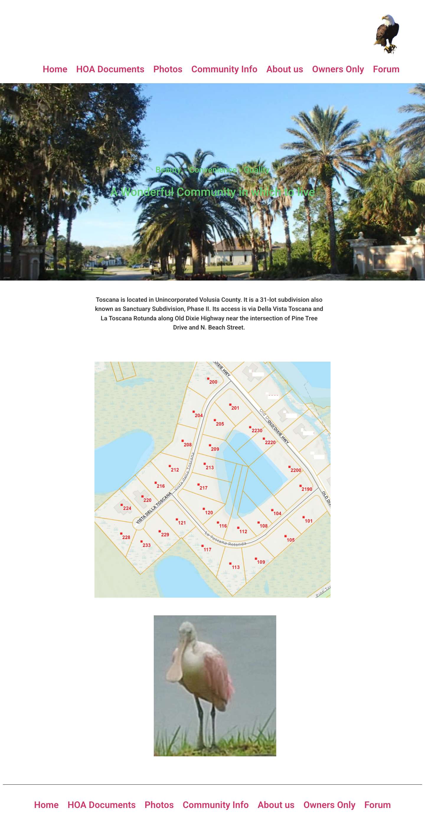 Toscana Home Owners Association – Community Information - Full Screenshot