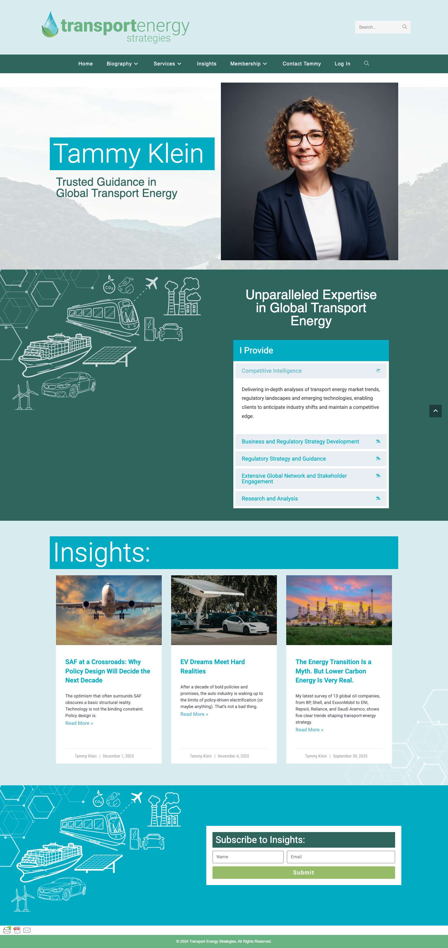 Home - Transport Energy Strategies - Full Screenshot
