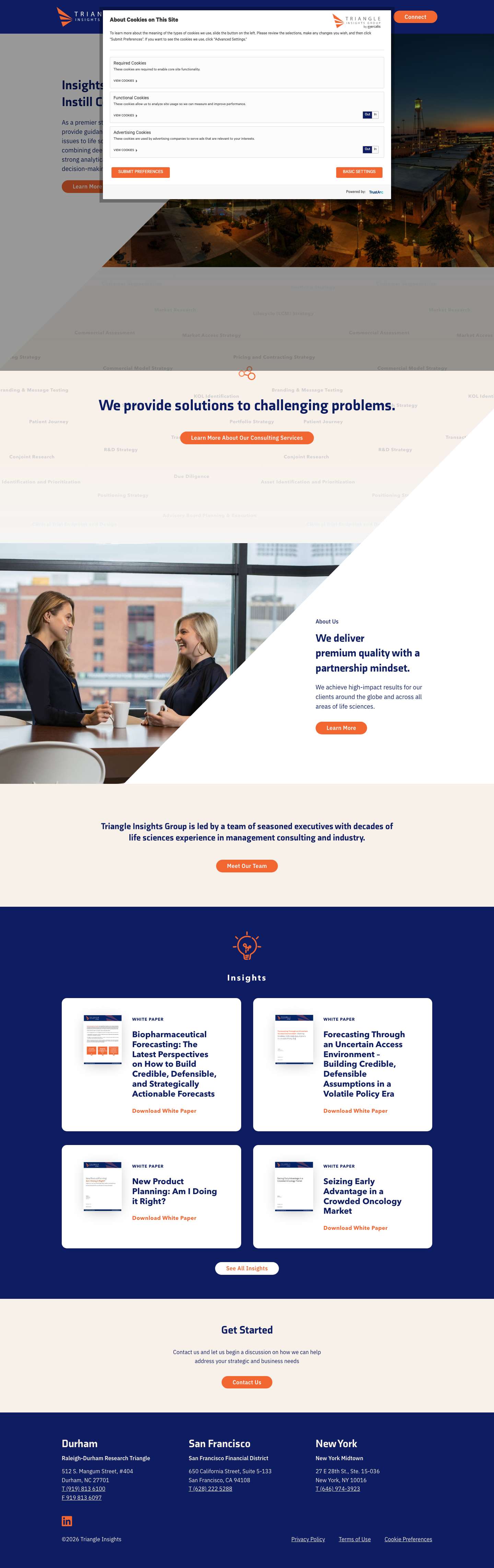 Home · Triangle Insights Group - Full Screenshot