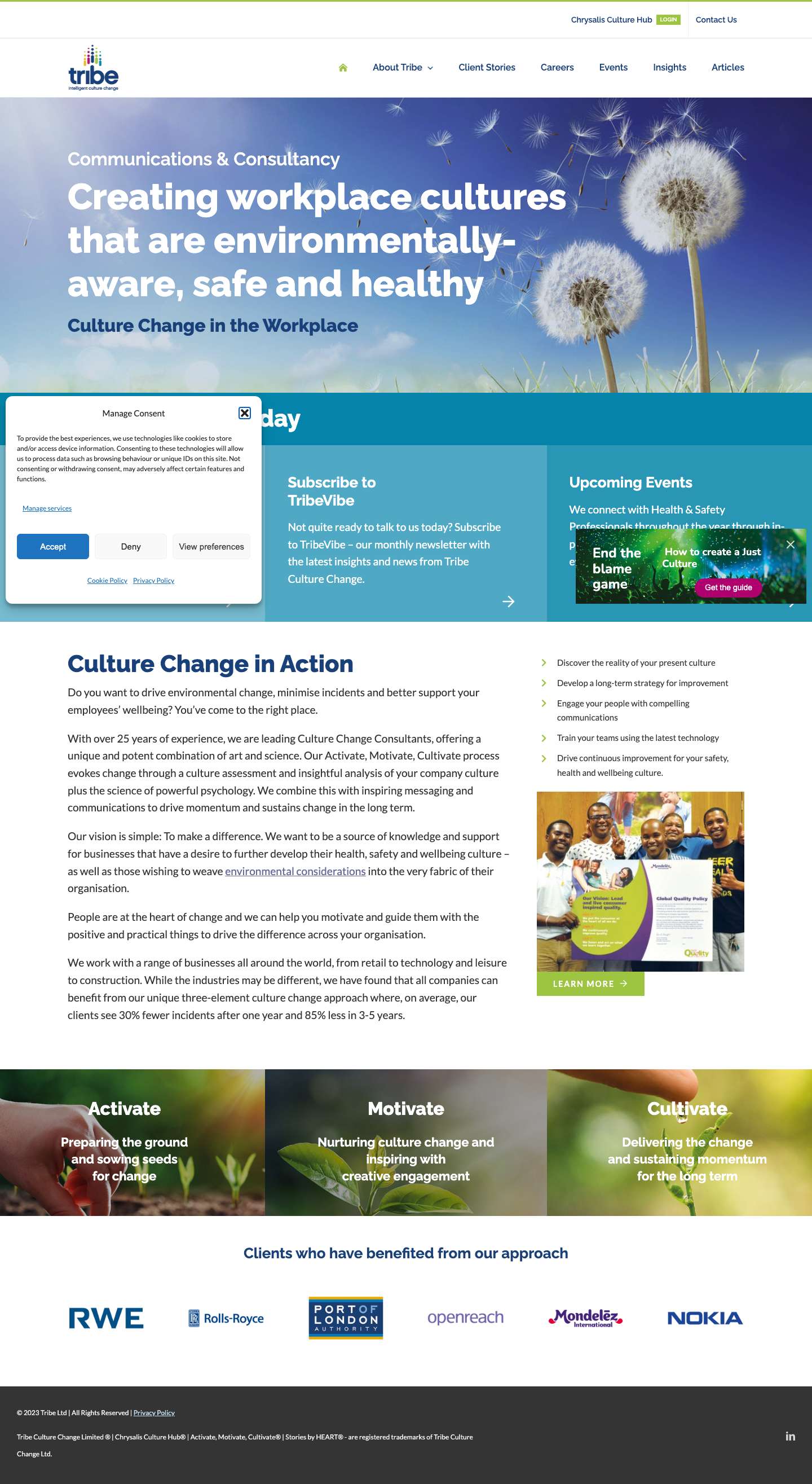 Culture Change in the Workplace | Culture Change Consultancy - Full Screenshot
