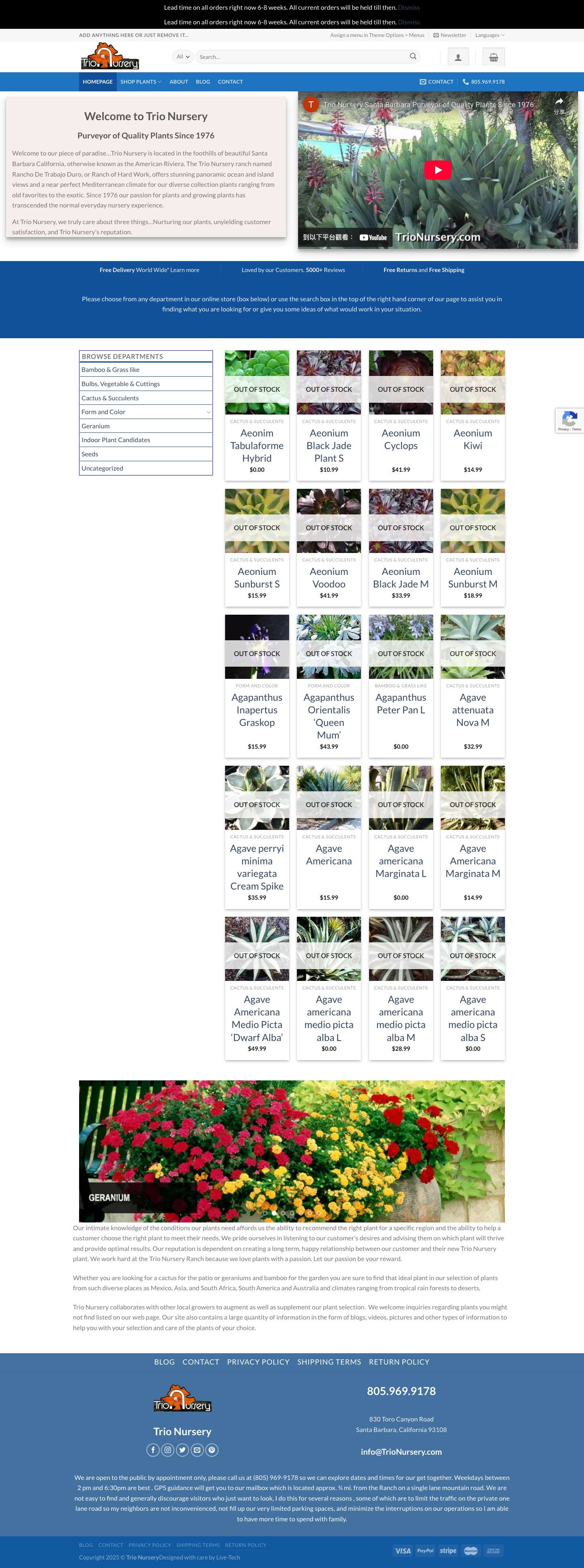 homepage | - Full Screenshot