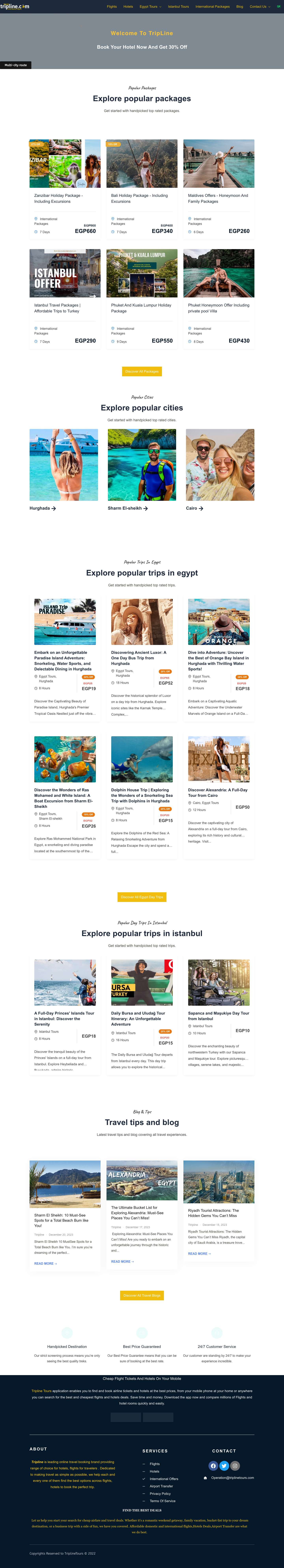 Tripline Tours | Cheapest Hotels, Flights & Airline Tickets - Full Screenshot