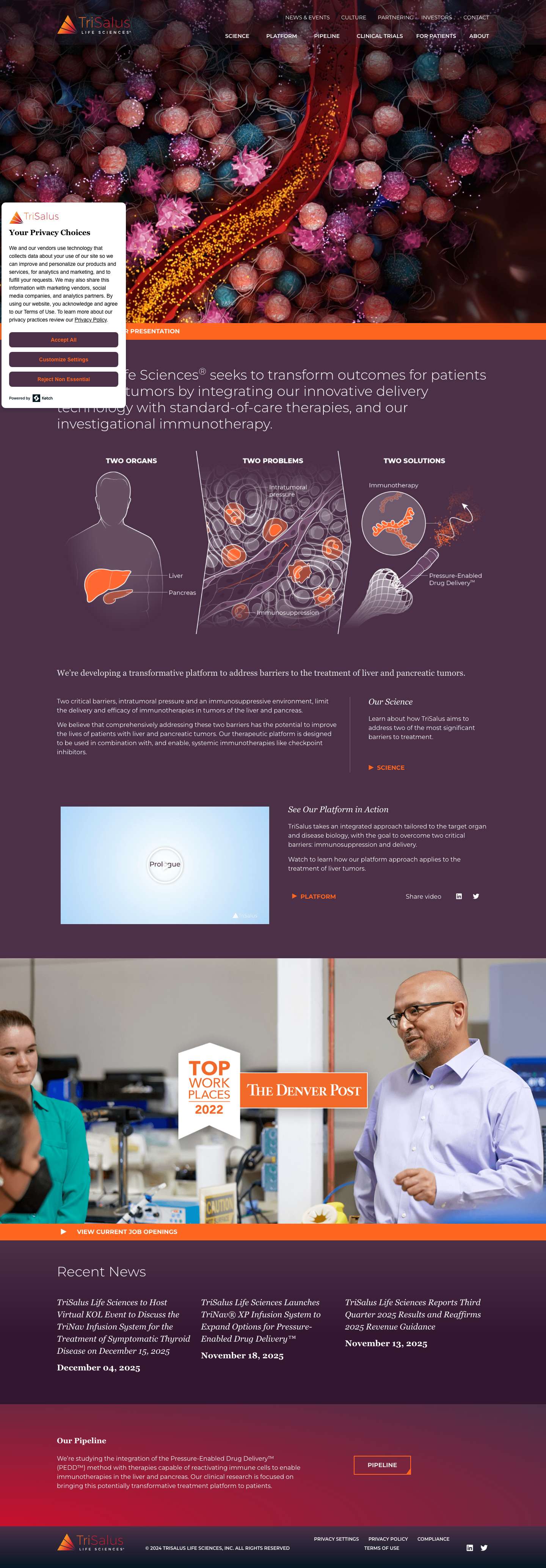 Home – Developing Treatments for Liver & Pancreatic Tumors - Full Screenshot