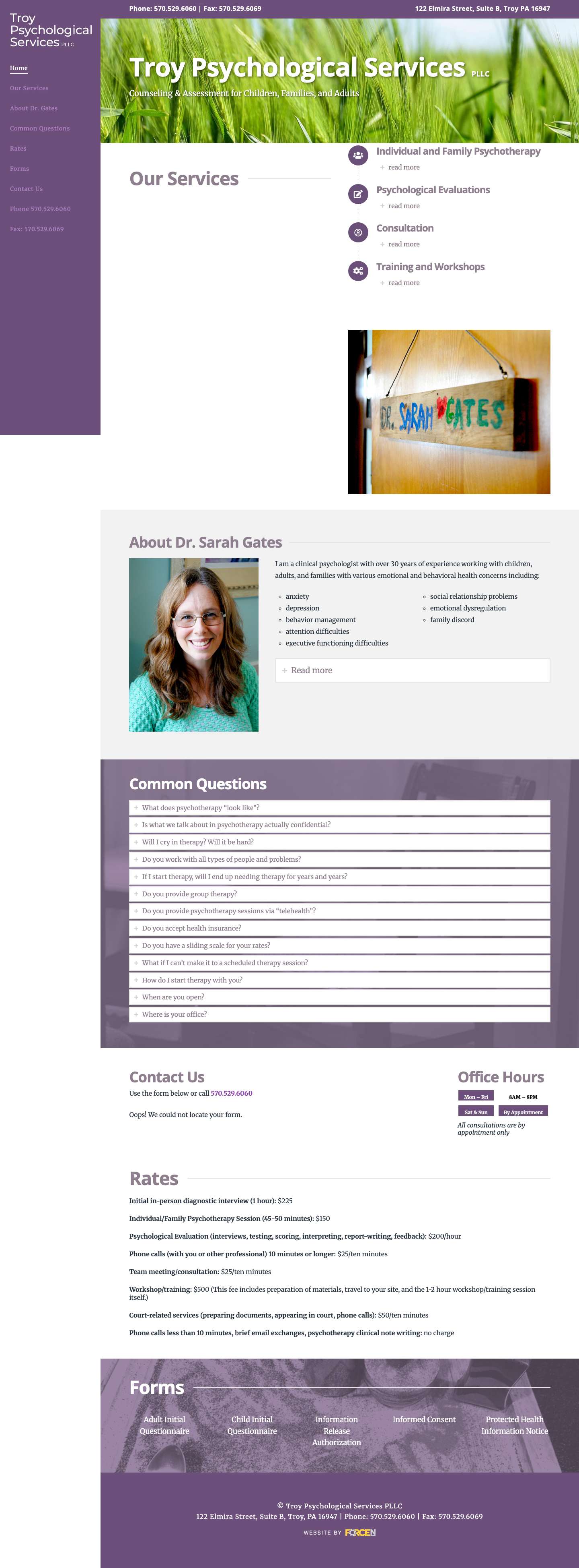 Troy Psychological Services - Full Screenshot