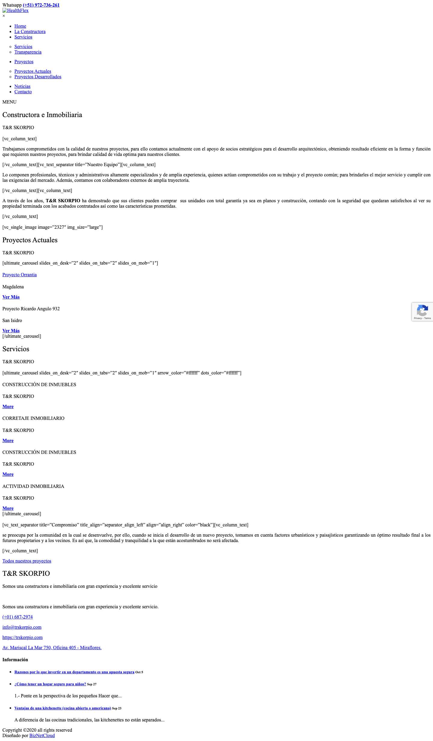 TyR Skorpio – Construcción e Inmobiliaria - Full Screenshot