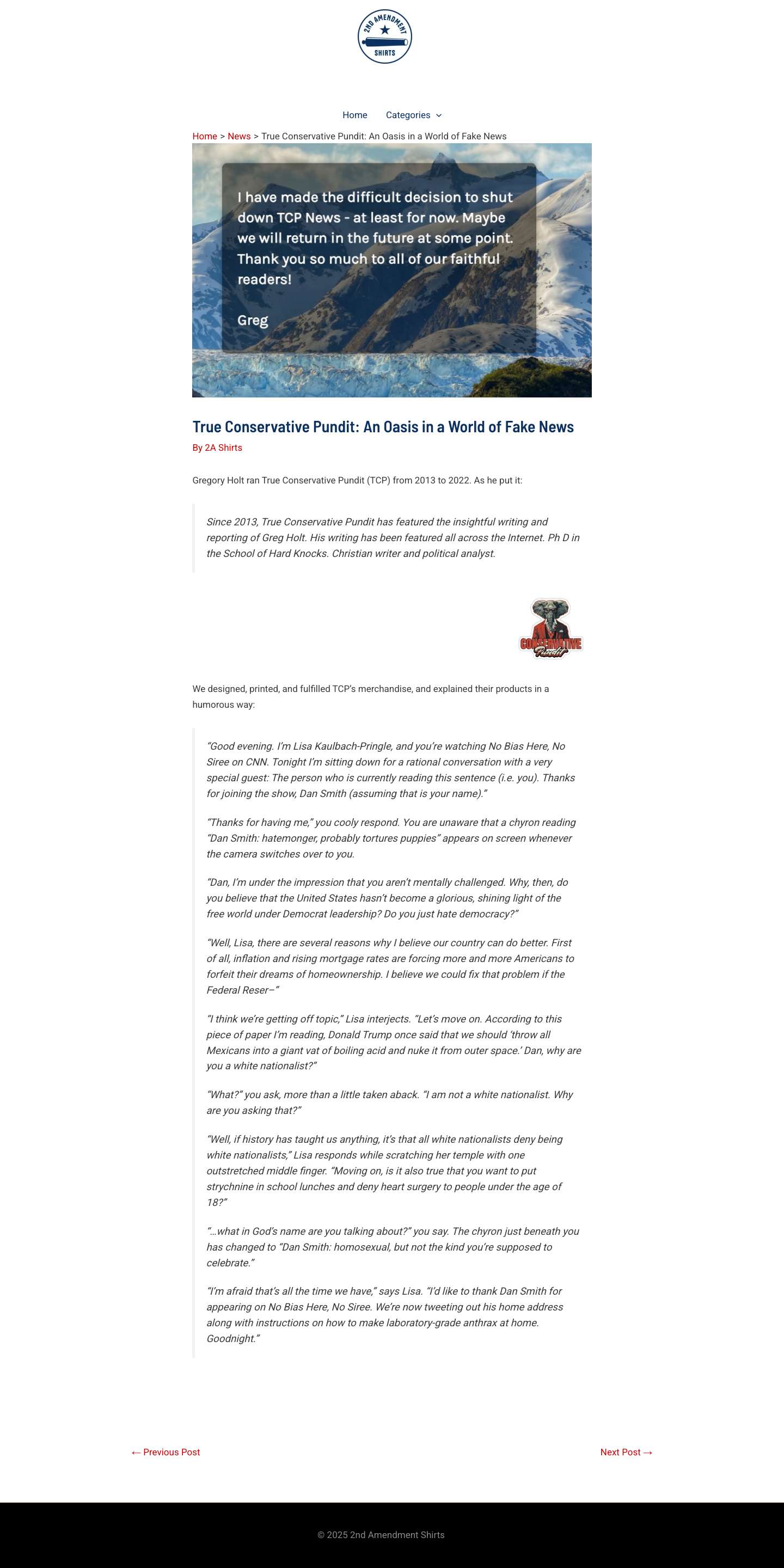 True Conservative Pundit: An Oasis in a World of Fake News - 2A Shirts - Full Screenshot