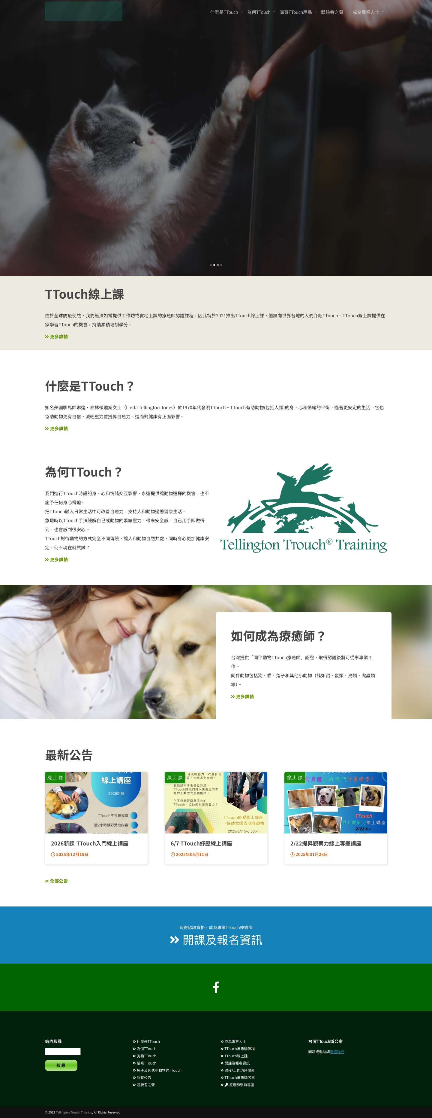 TTouch Taiwan｜台灣TTouch - Full Screenshot