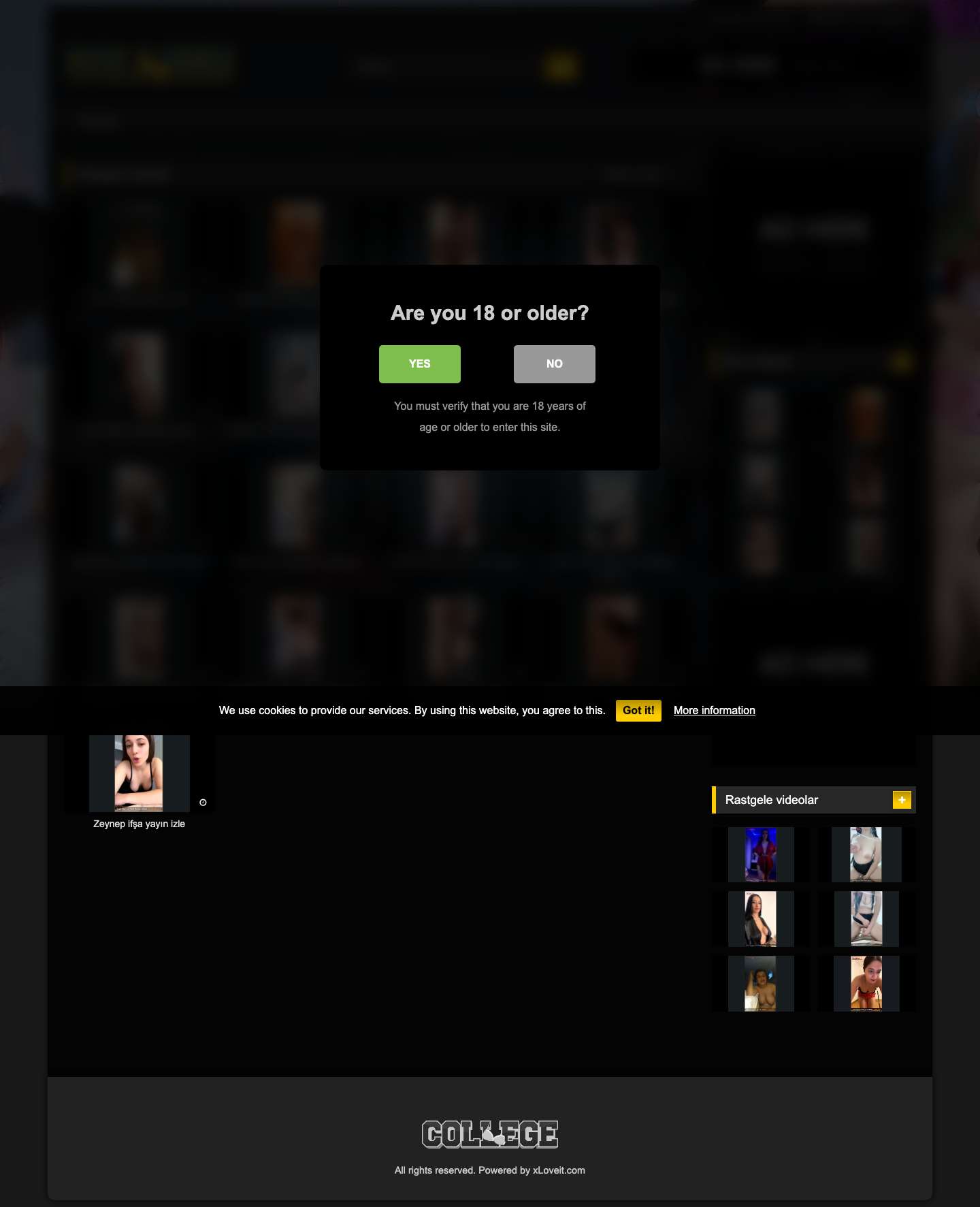 turkifsa.tv - Full Screenshot
