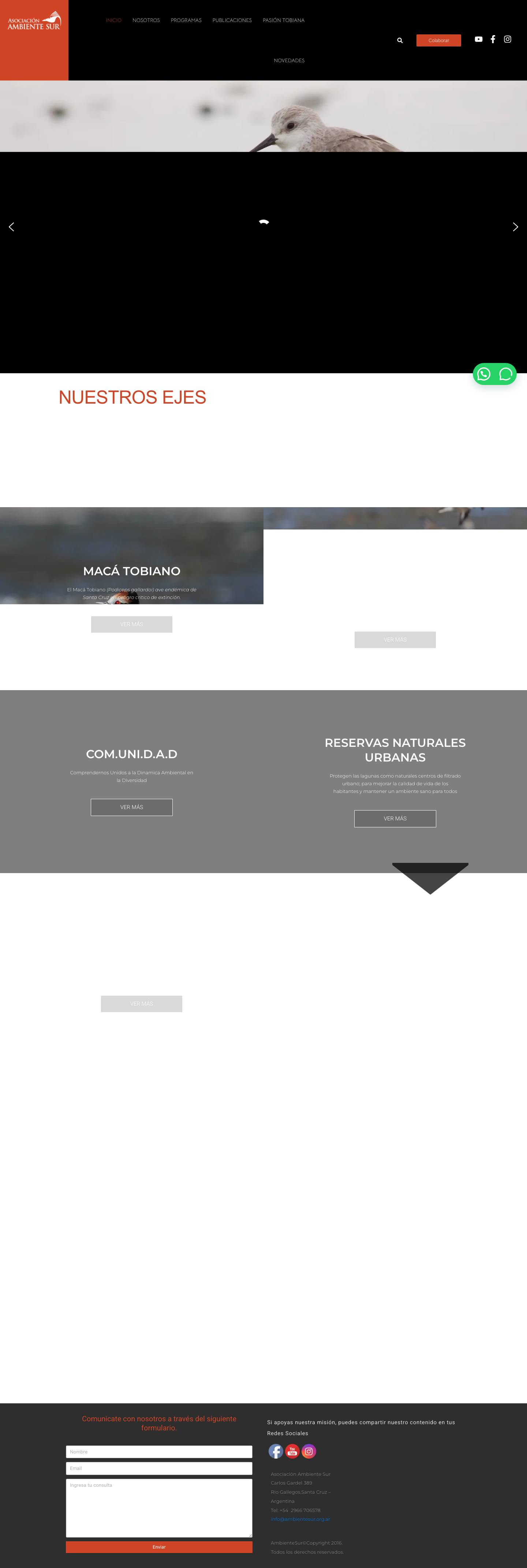 ambientesurWhatsApp - Full Screenshot