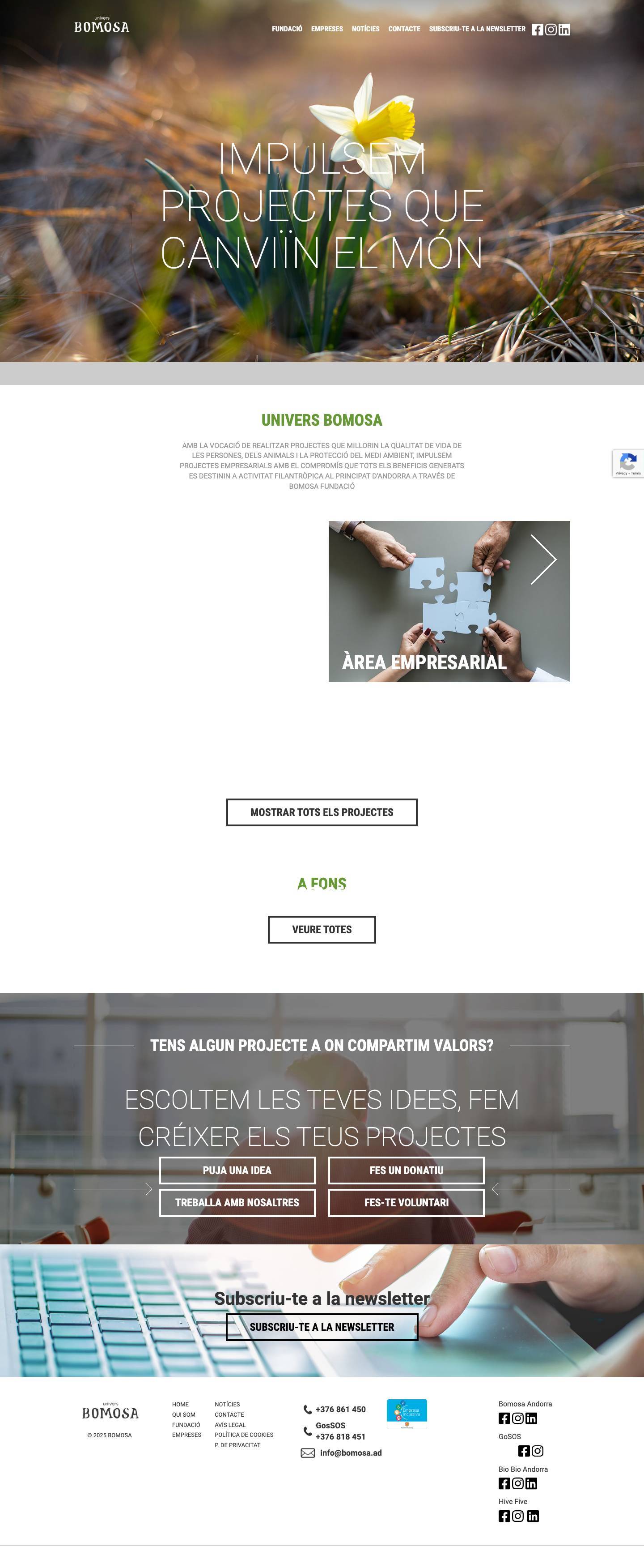 Home - Sitio Web Bomosa - Full Screenshot