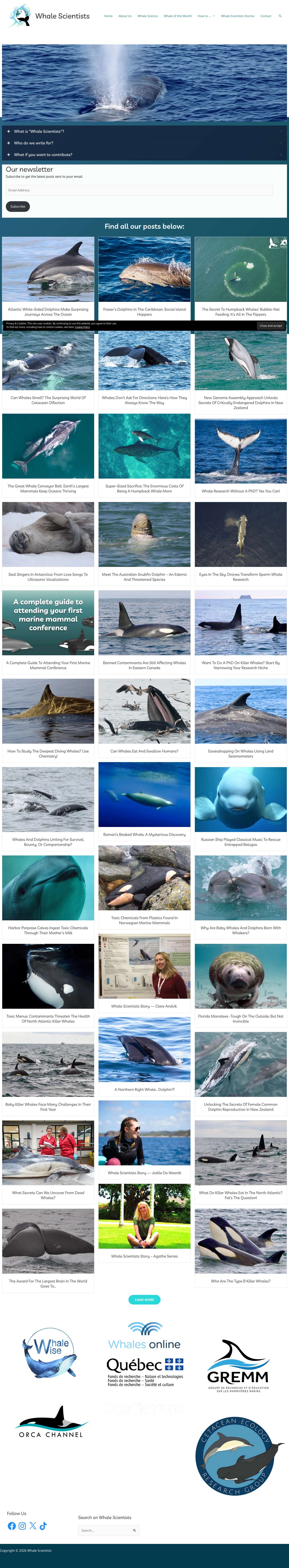 Whale Scientists - Full Screenshot