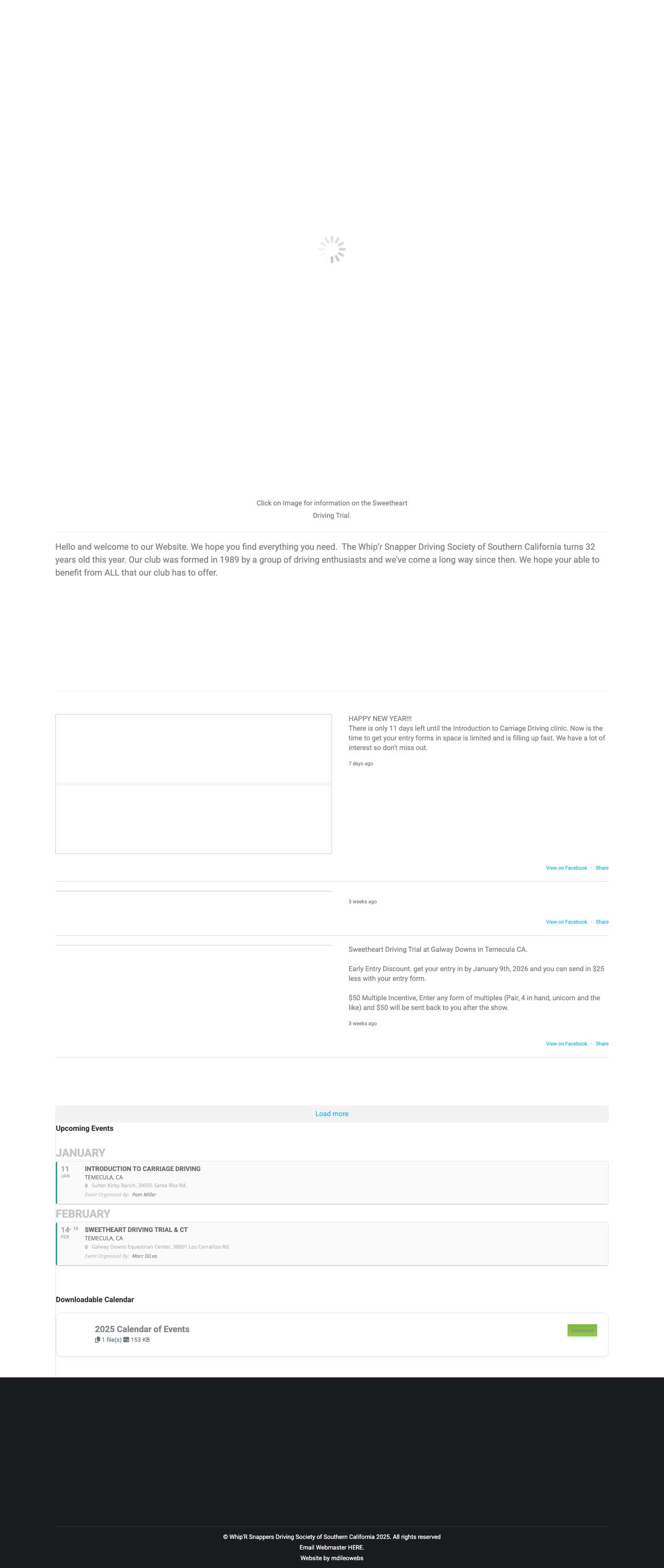 Whip'r Snappers – Carriage Driving of Southern CaliforniaComments Box SVG icons - Full Screenshot