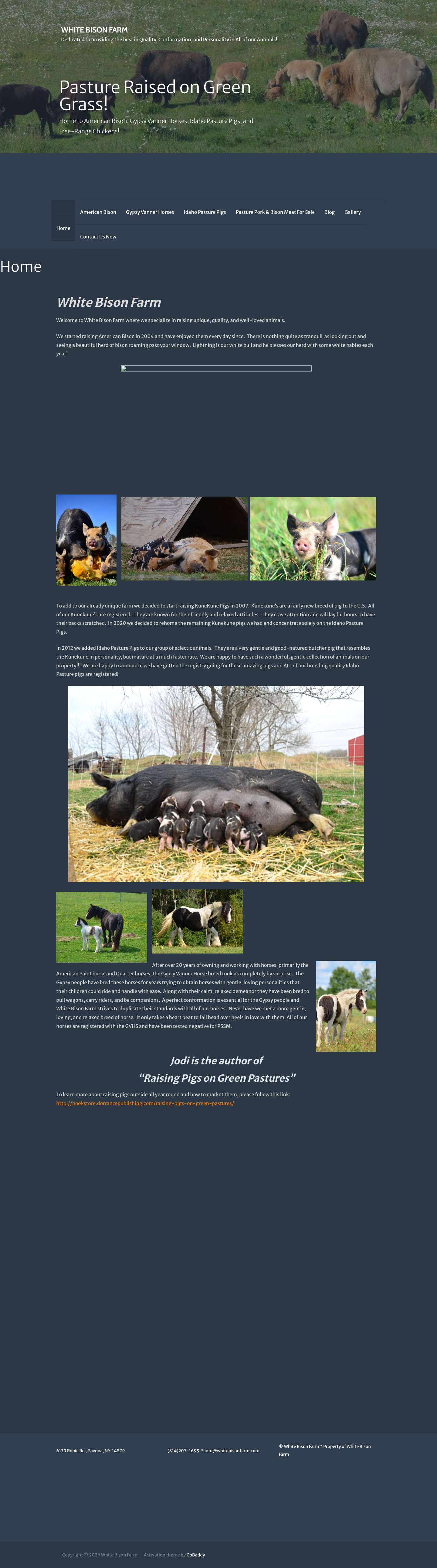 White Bison Farm - idaho pasture pigs, american bison, gypsy vanner horses, kunekune pigs, ranch, horse for sale - Full Screenshot