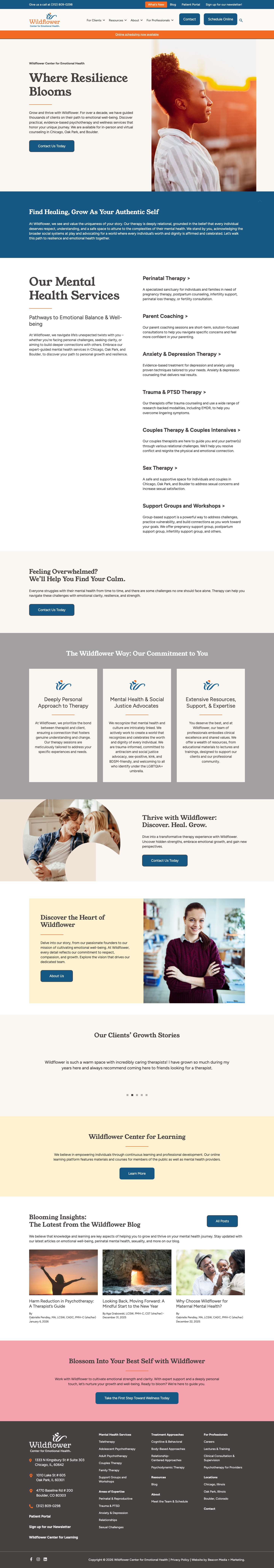Wildflower Center for Emotional Health | Chicago & Oak Park - Full Screenshot