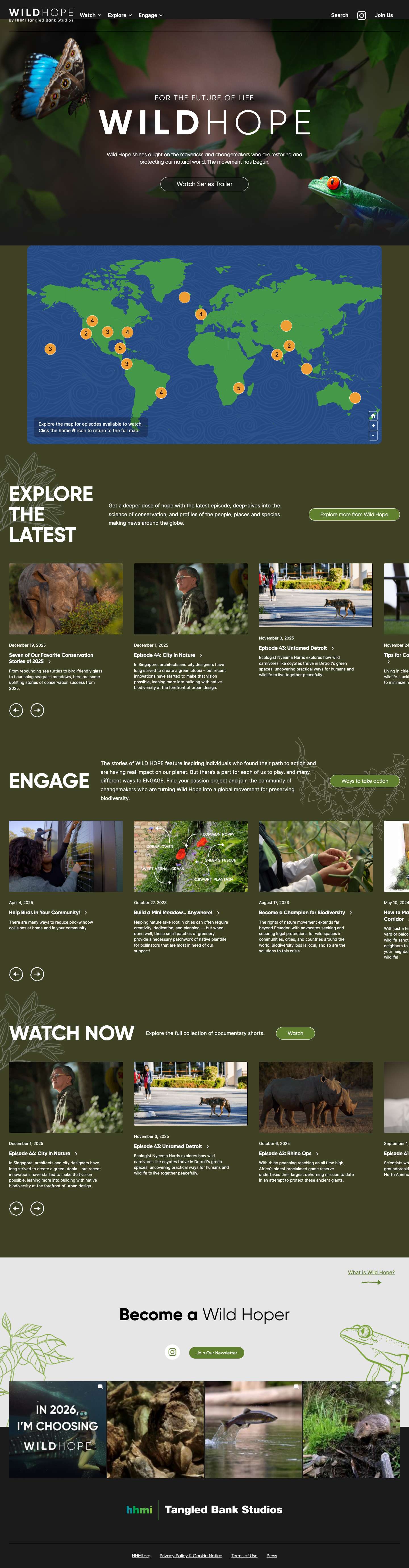 Wild Hope - Change is Closer Than You Think - Full Screenshot