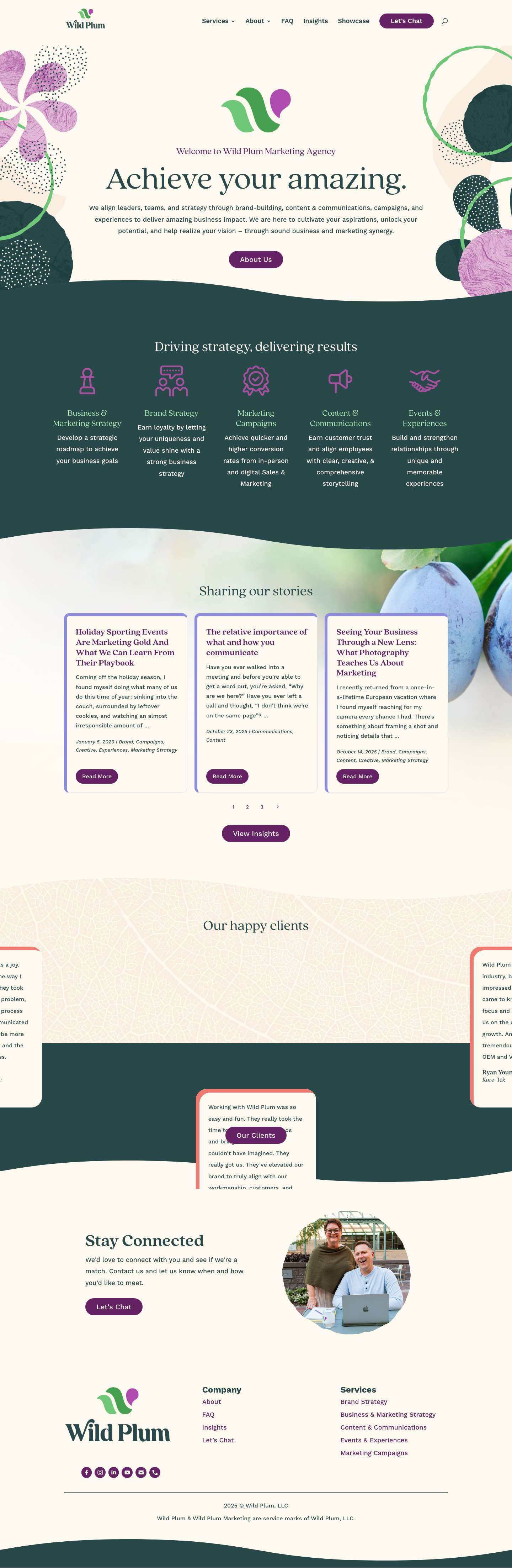 Wild Plum Marketing: Marketing Agency Based In Twin Cities - Full Screenshot