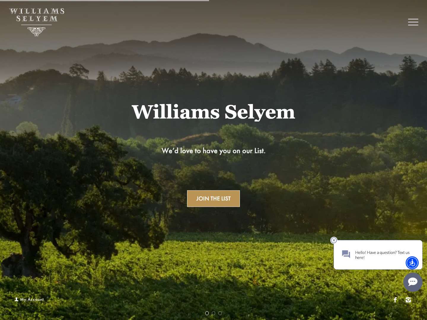 Home – Williams SelyemScroll to top - Full Screenshot