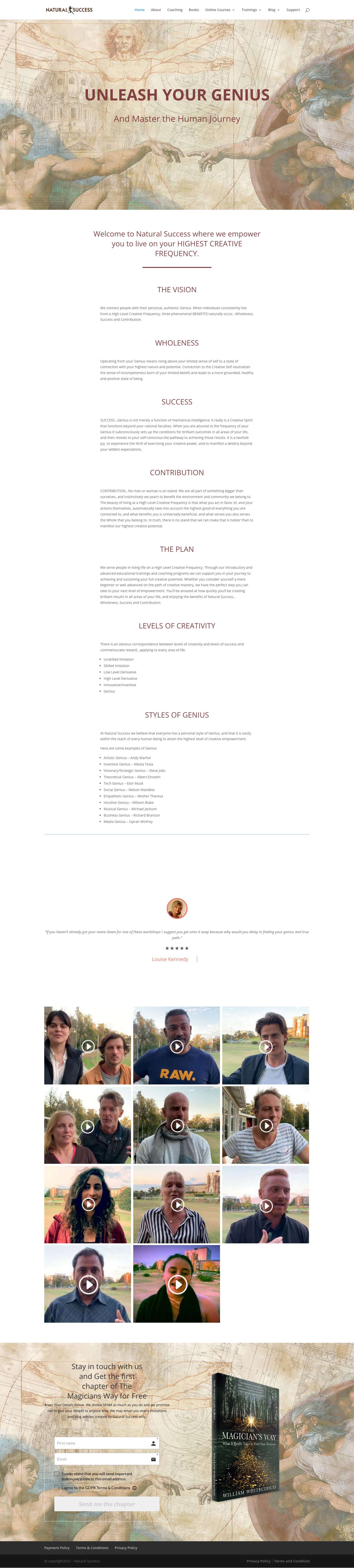 Home - Natural Success - Full Screenshot