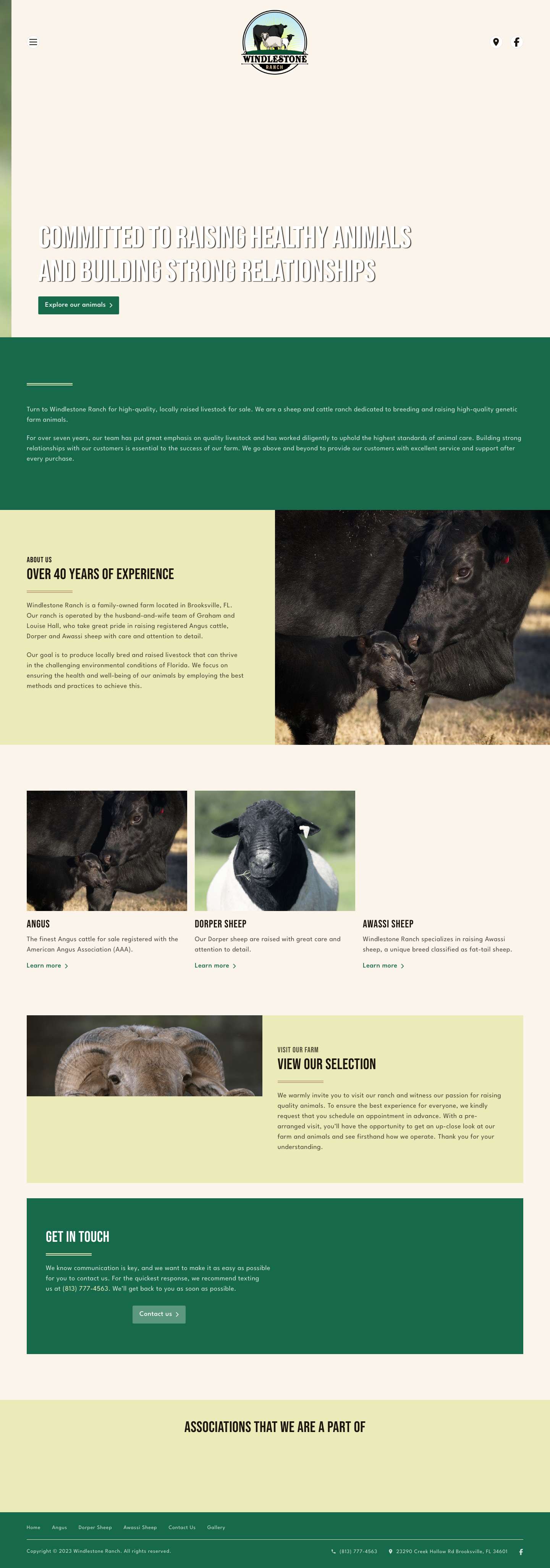 Sheep and Cattle Ranch | Windlestone Ranch - Full Screenshot