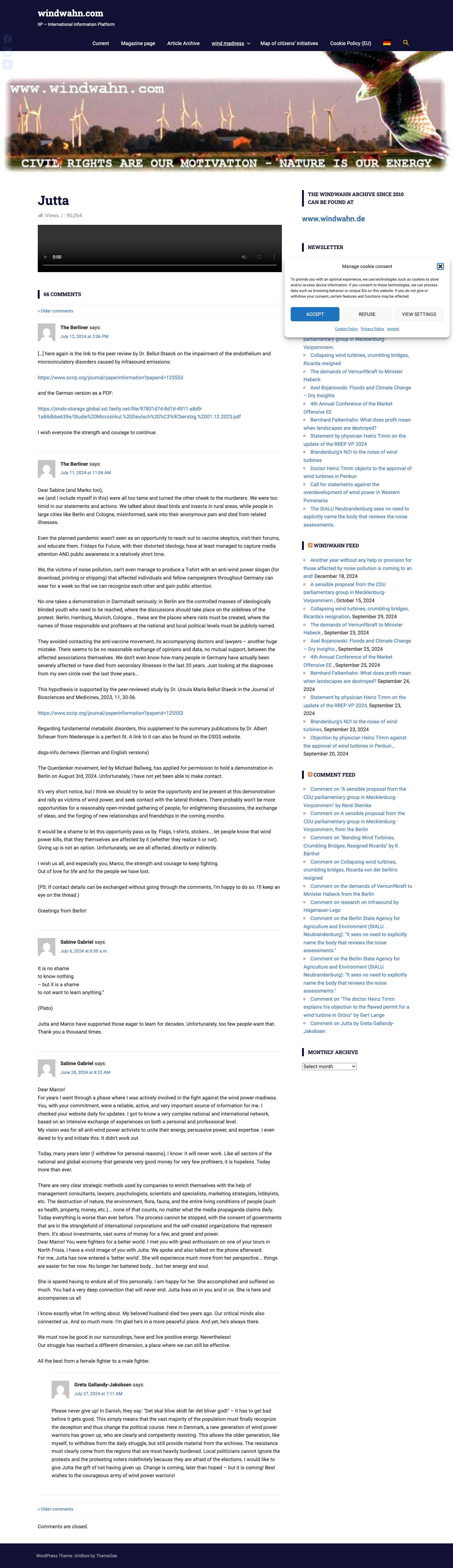 windwahn.com – IIP – Internationale Informationsplattform - Full Screenshot