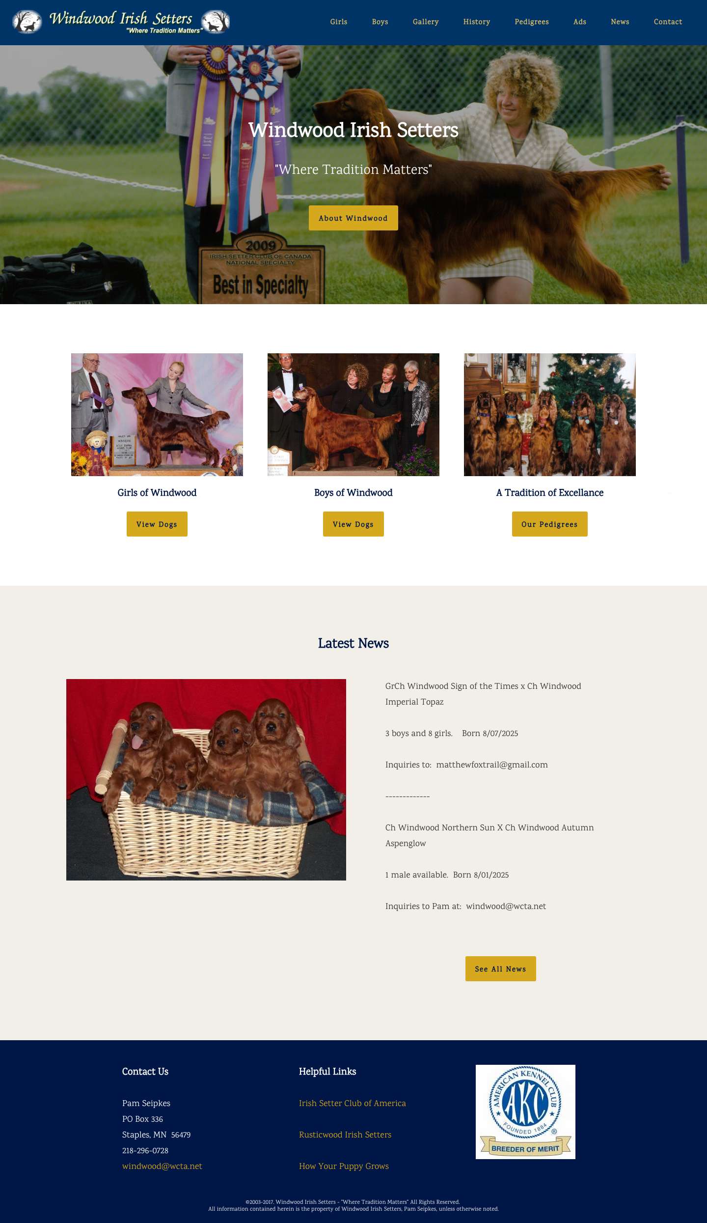 Windwood Irish Setters - Full Screenshot