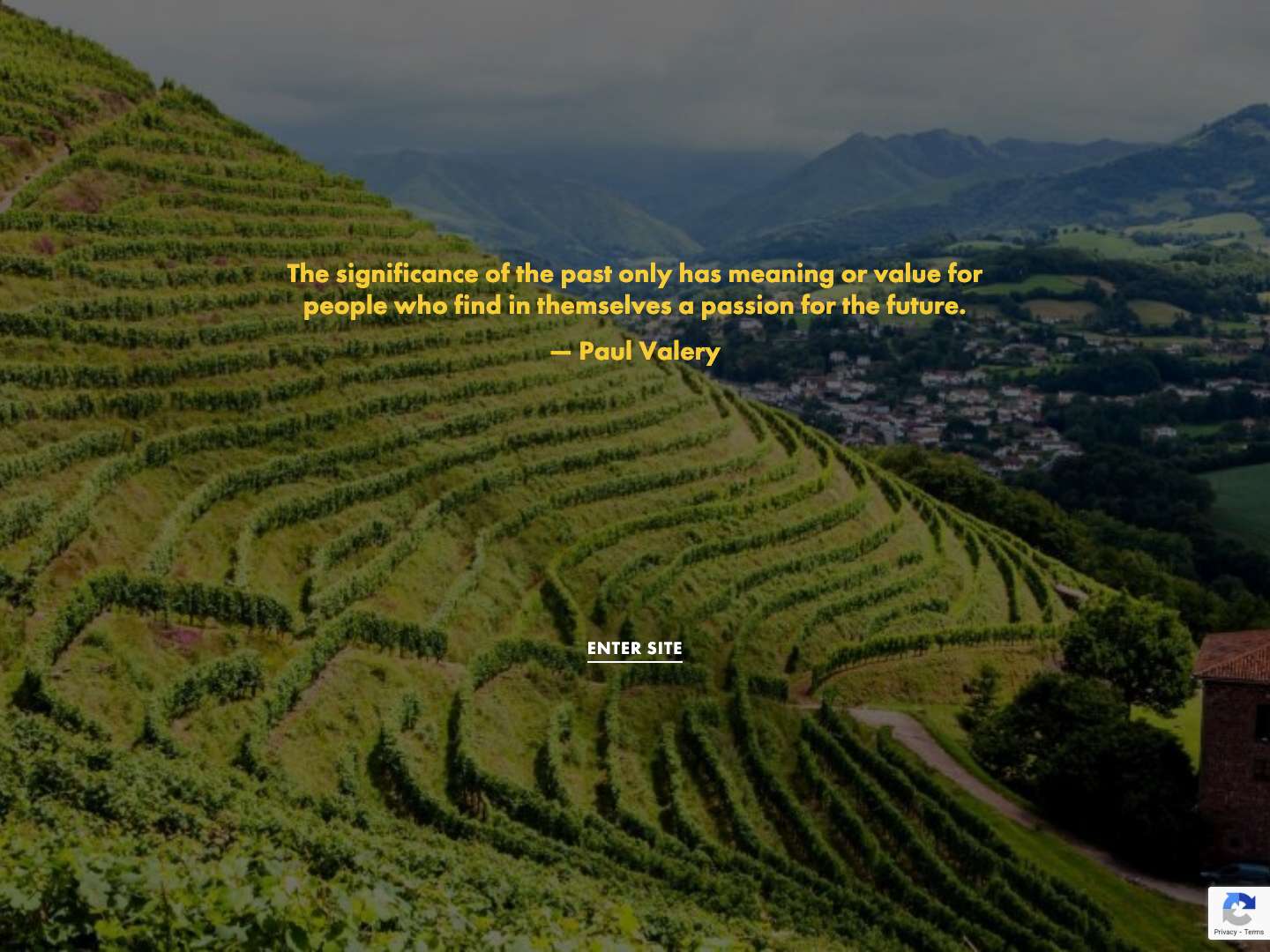 Wine Traditions ltd - Full Screenshot