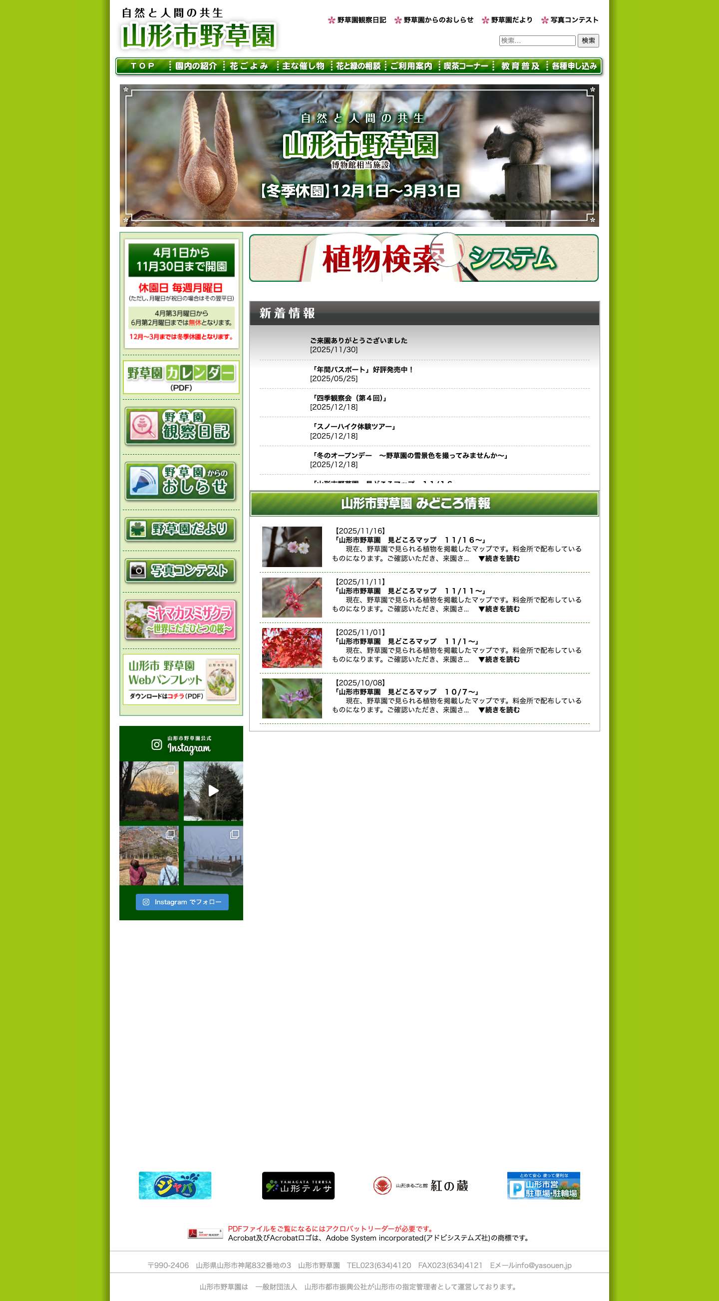 山形市野草園 - Full Screenshot