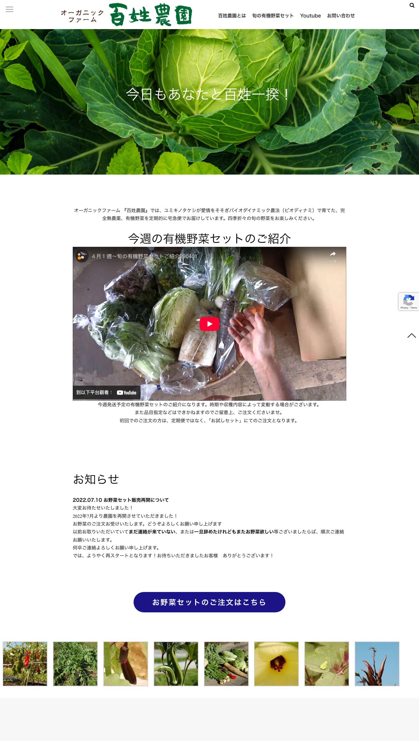 百姓農園 | オーガニックファーム - Full Screenshot