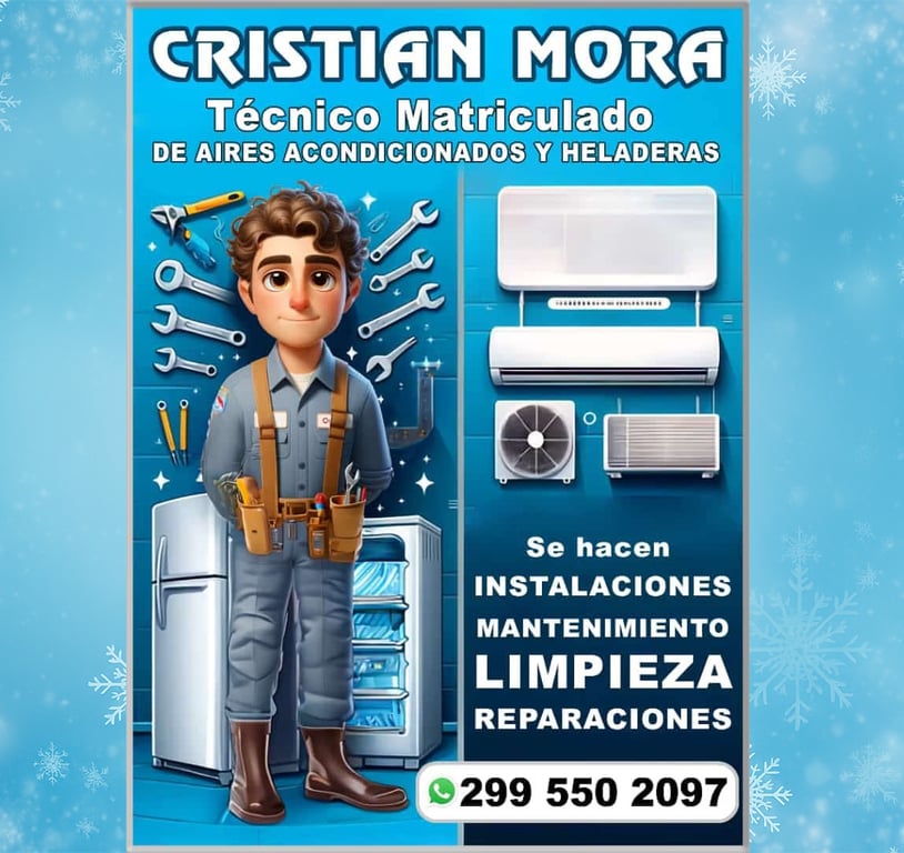 Cristian Mora Técnico Matriculado