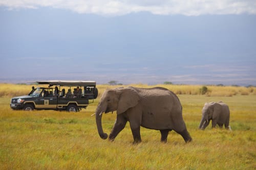 Amboseli