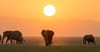 Amboseli